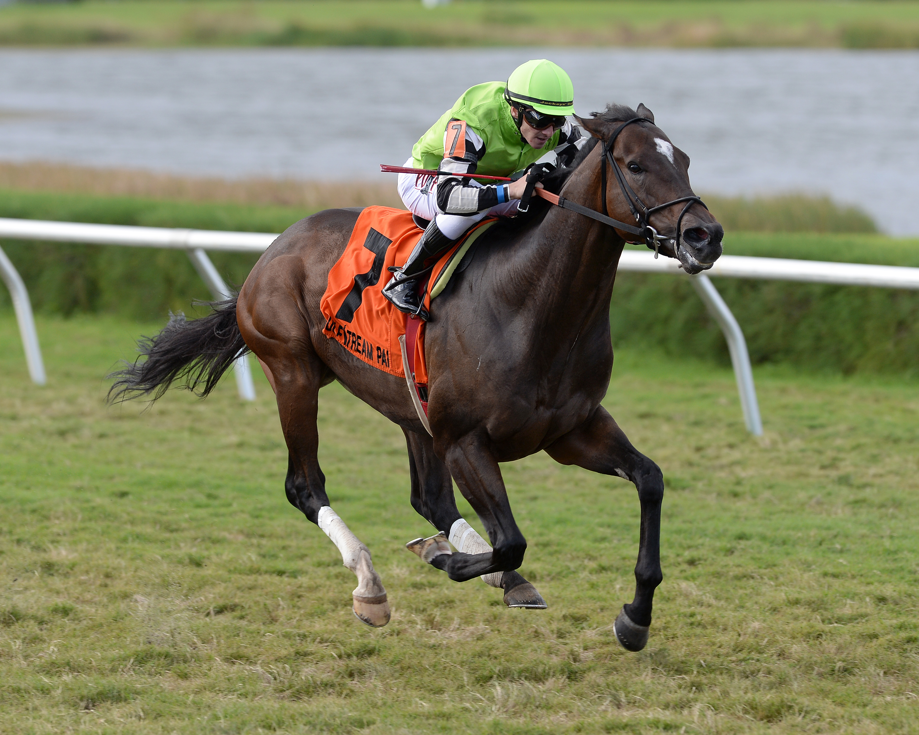 Lochte wins 2015 Spider John