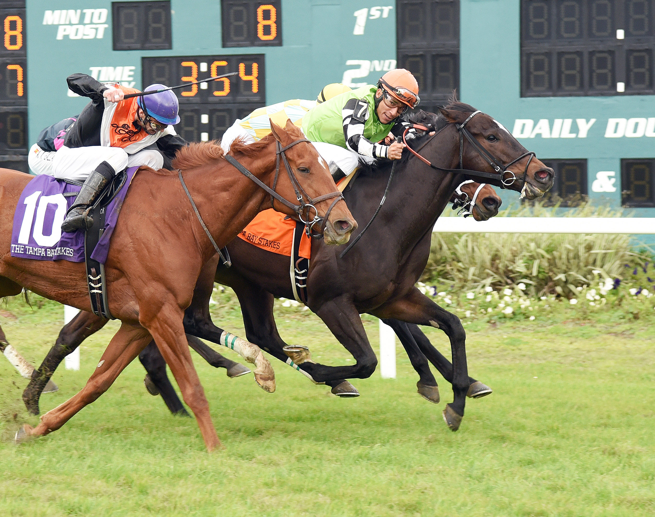 Lochte wins the Tampa Bay Stakes