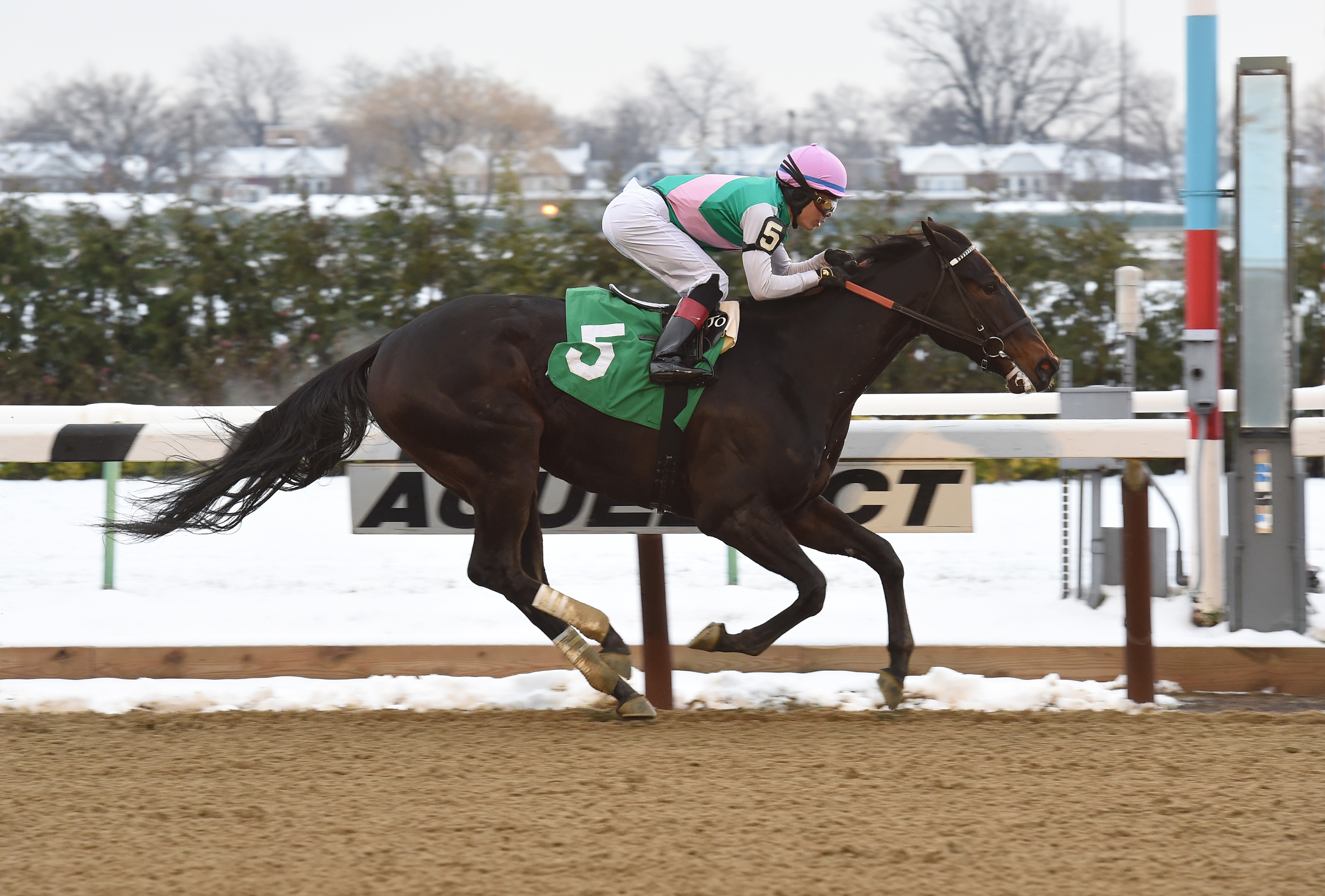 Lockdown wins a maiden race