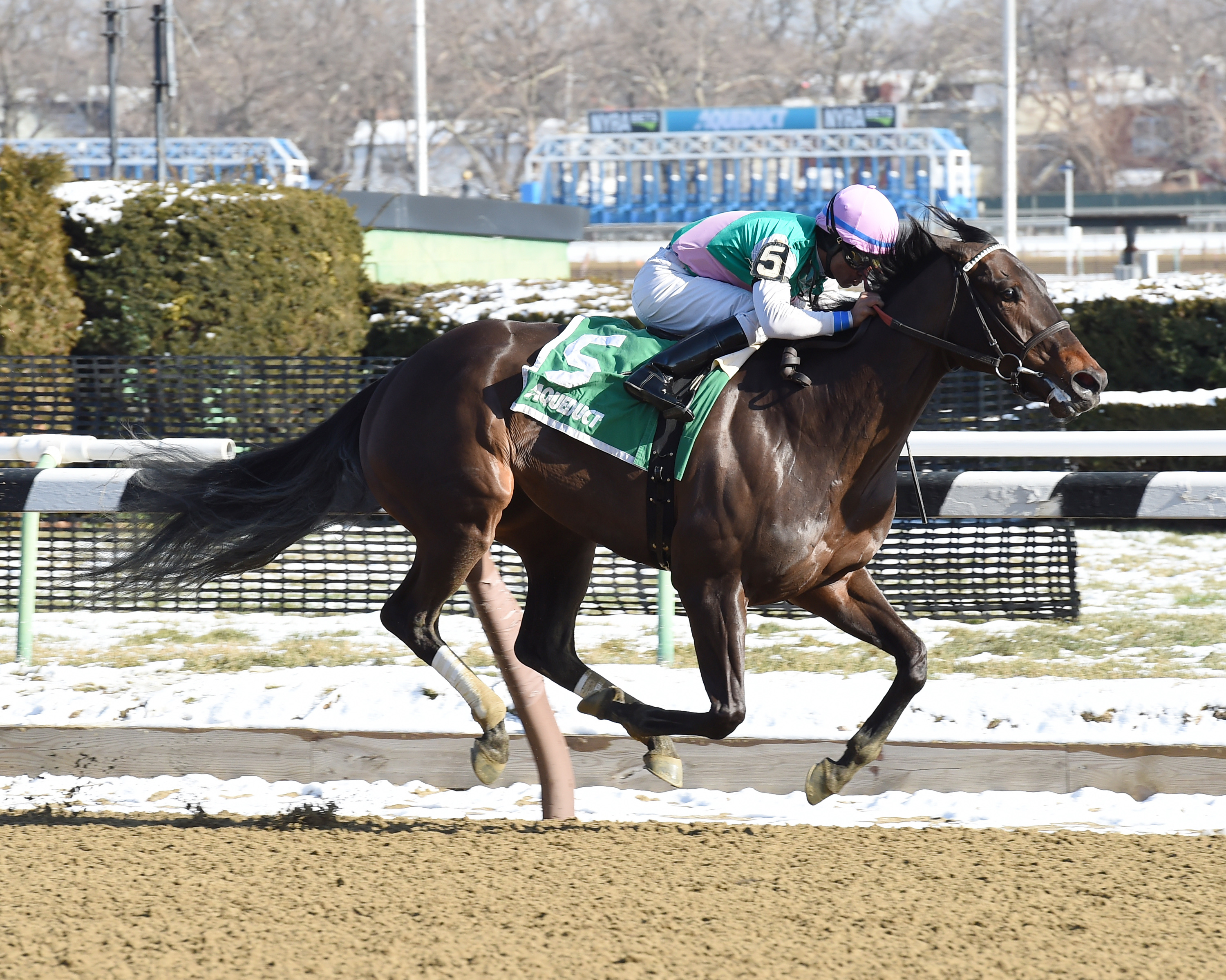 Lockdown wins the Busanda Stakes