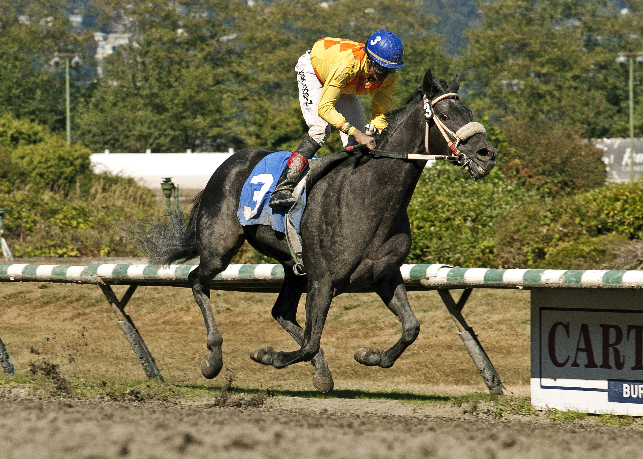 Locket wins the Delta Colleen Handicap