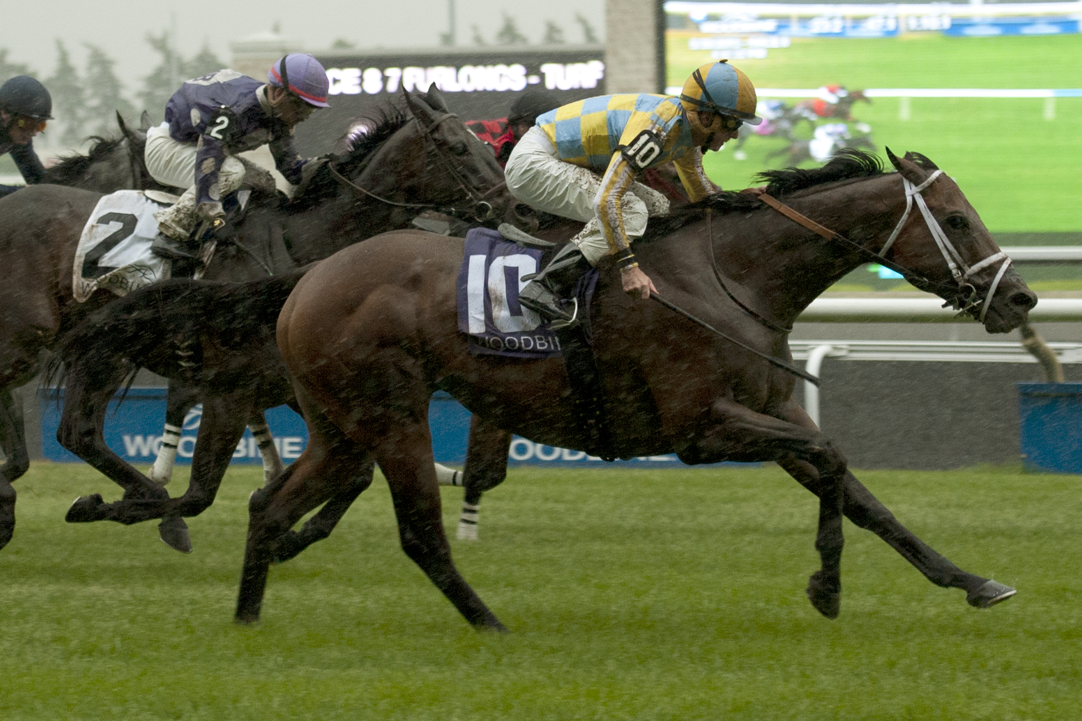 Lockout wins 2015 Connaught Cup