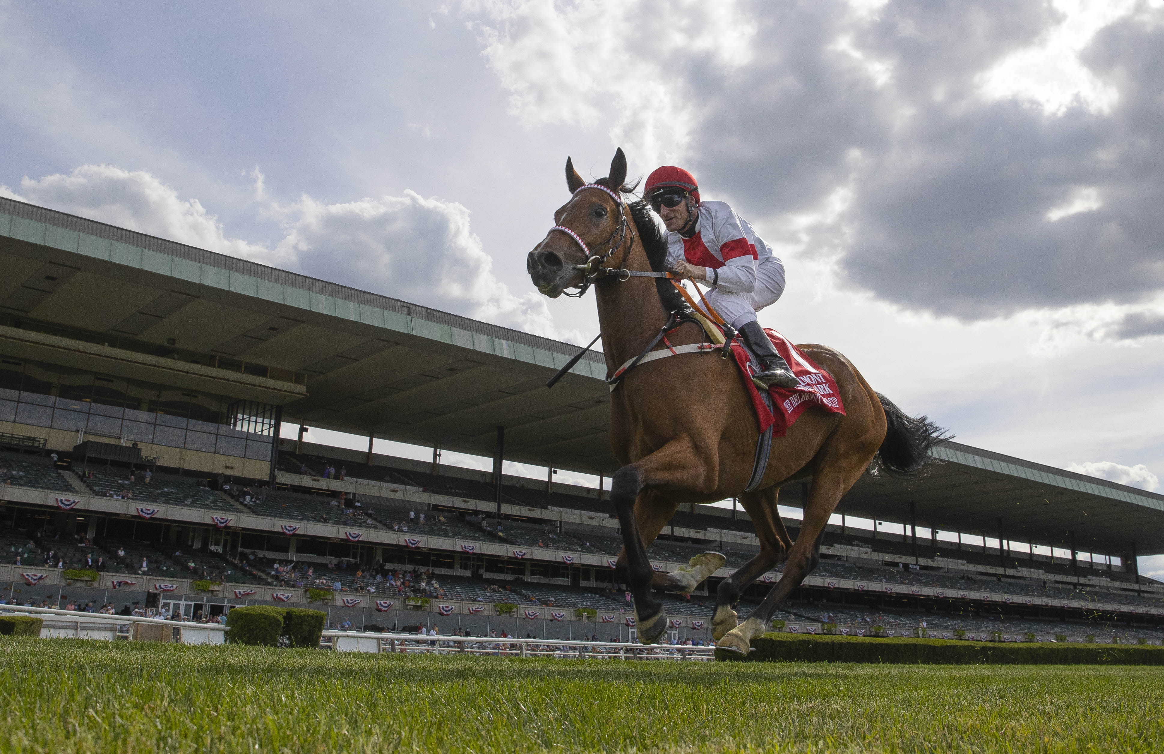 Loft wins the Belmont Gold Cup on June 10 2022