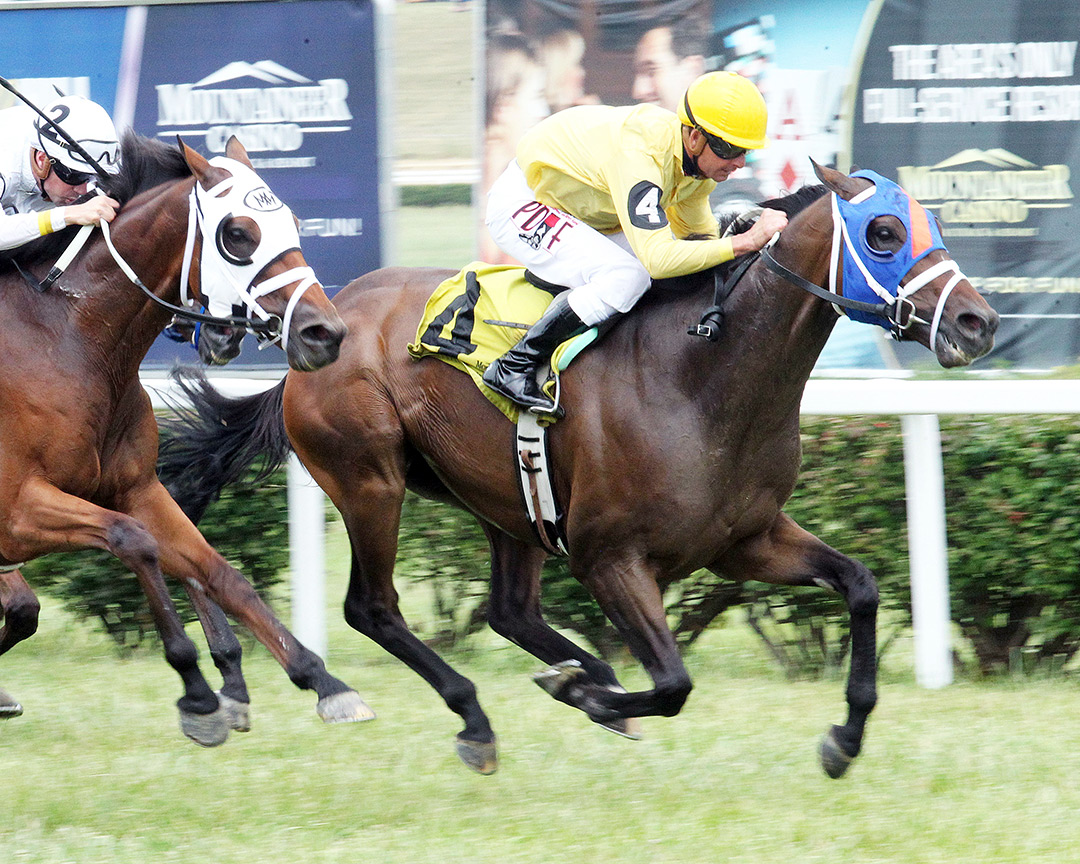 Logical Myth wins the 2021 West Virginia House of Delegates Speaker's Cup Stakes at Mountaineer Park