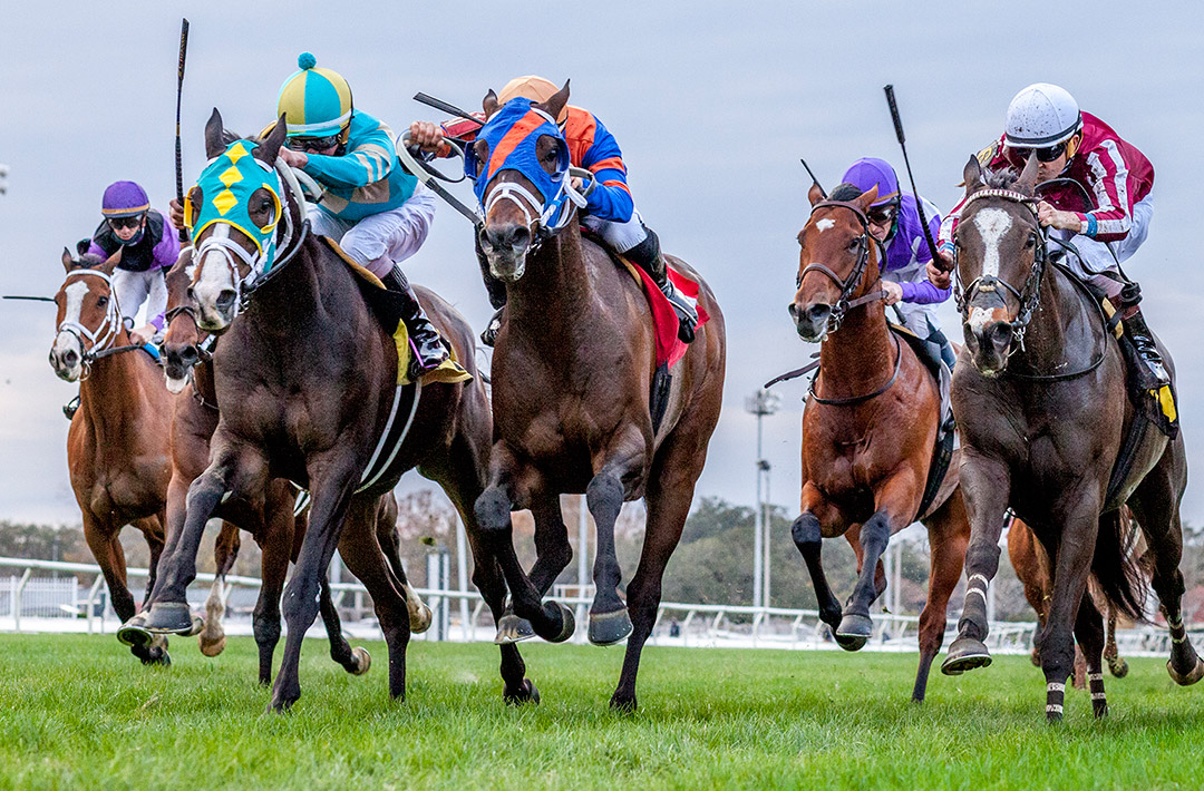 Logical Myth (blue and orange silks) wins the 2020 Buddy Diliberto Memorial Stakes at Fair Grounds