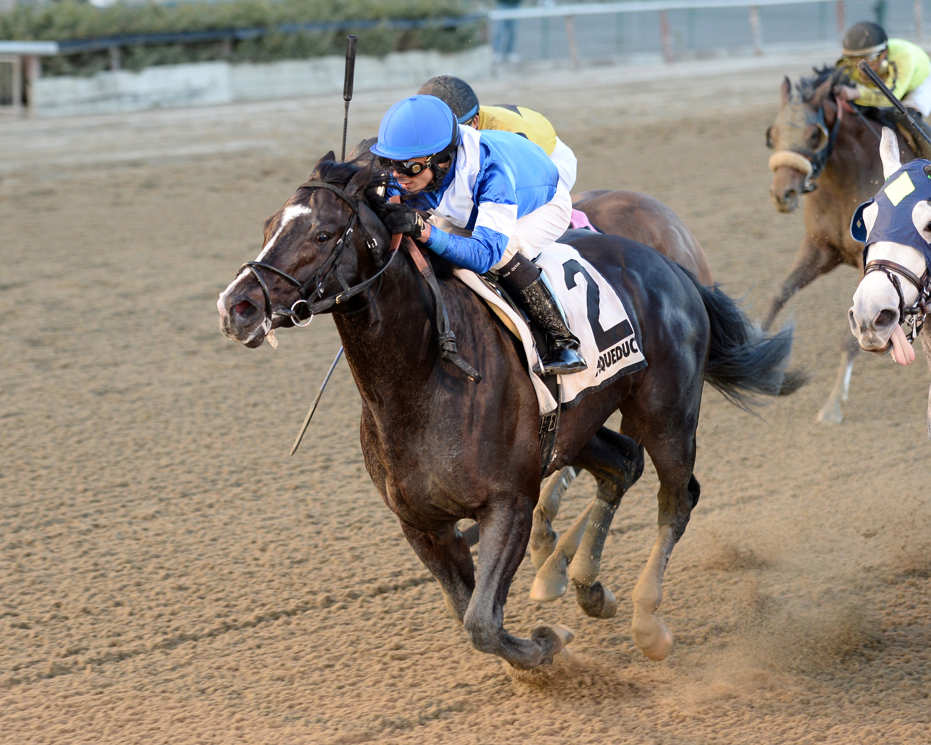 Loki's Vengeance wins the Thunder Rumble