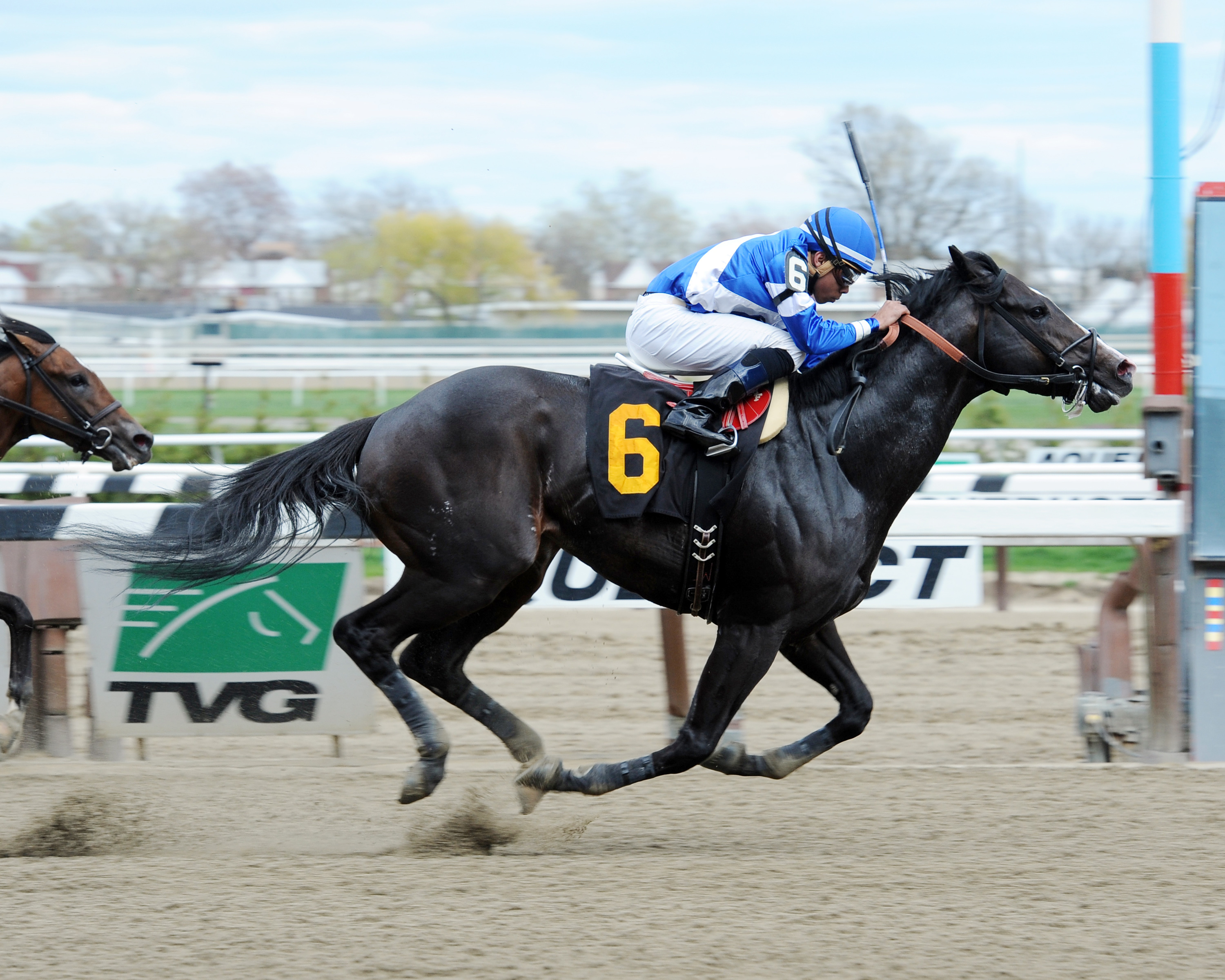 Loki's Vengeance wins the NY Stallion Series Times Square Division