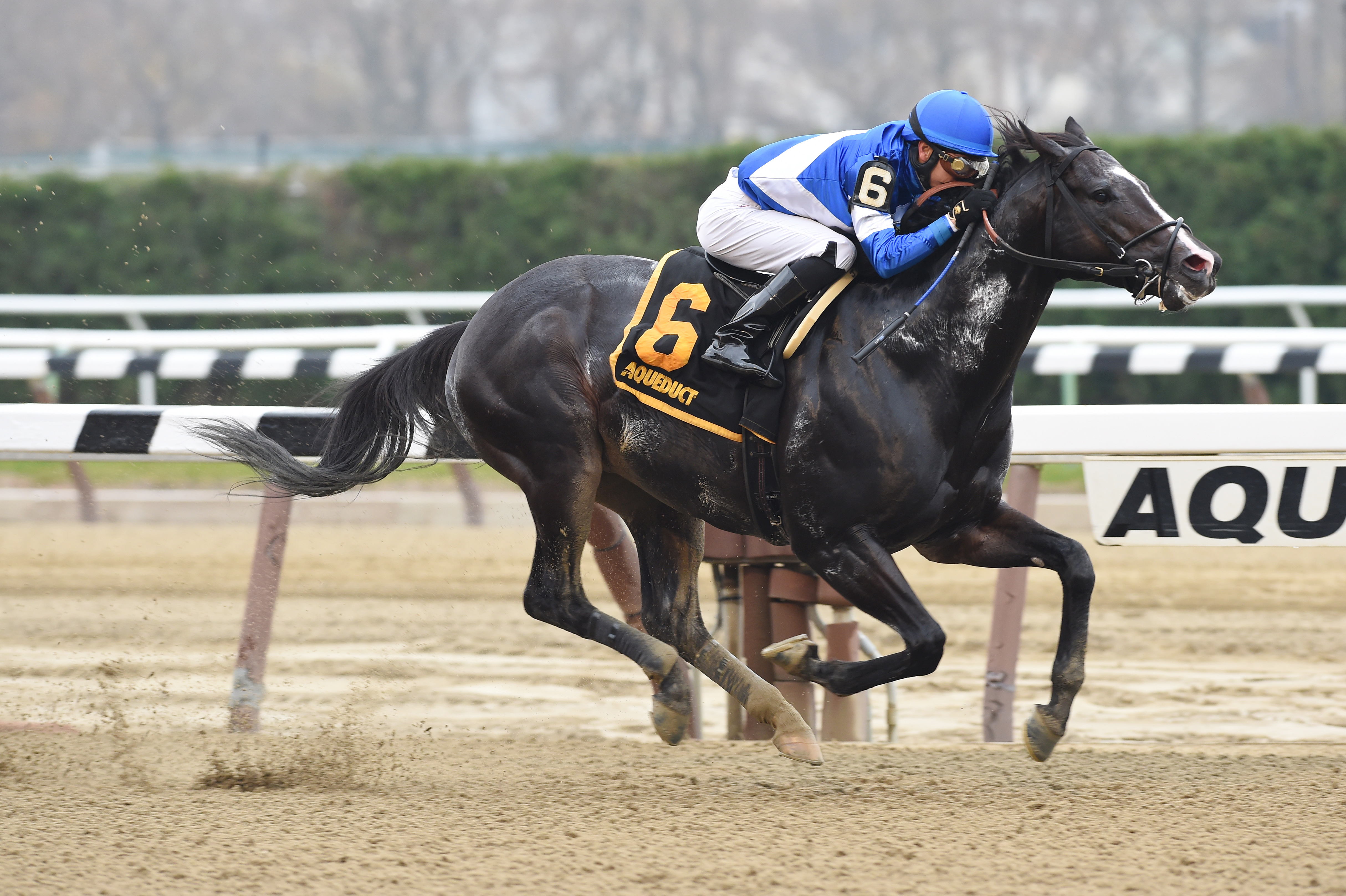 Loki's Vengeance wins the 2016 Thunder Rumble