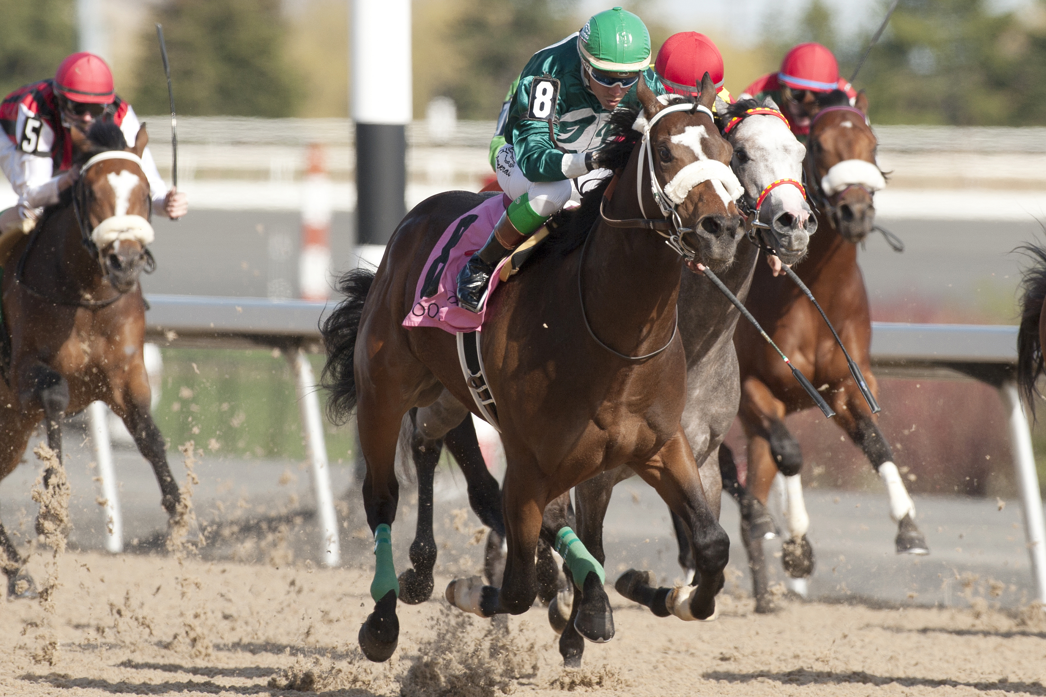 Lokinforpursemonee wins the Woodstock Stakes