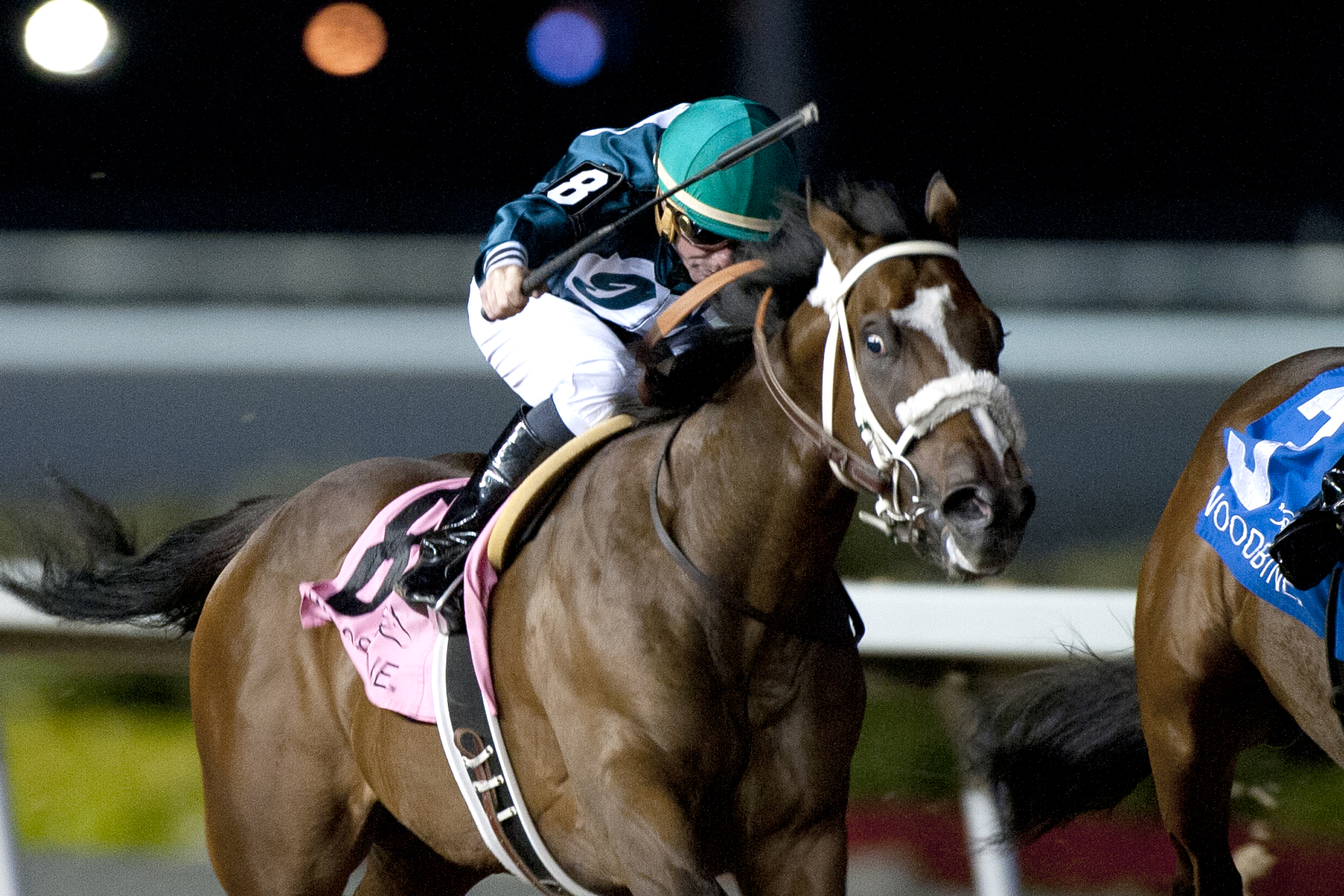 Lokinforpursemonee wins the Simcoe Stakes