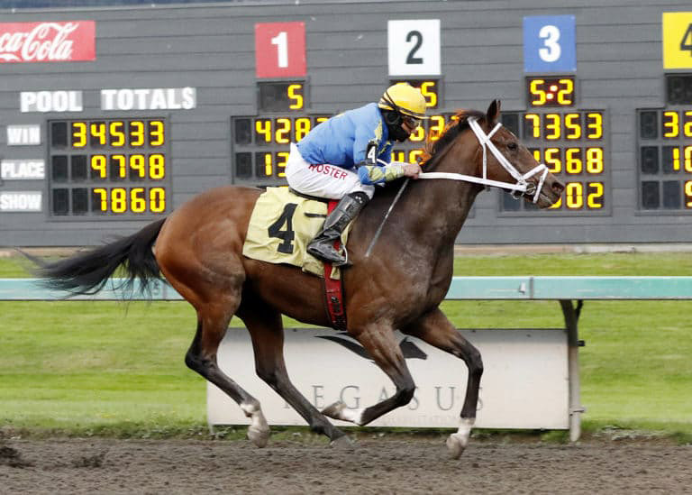 Lolo Paniolo wins an Oct. 8 allowance at Emerald Downs