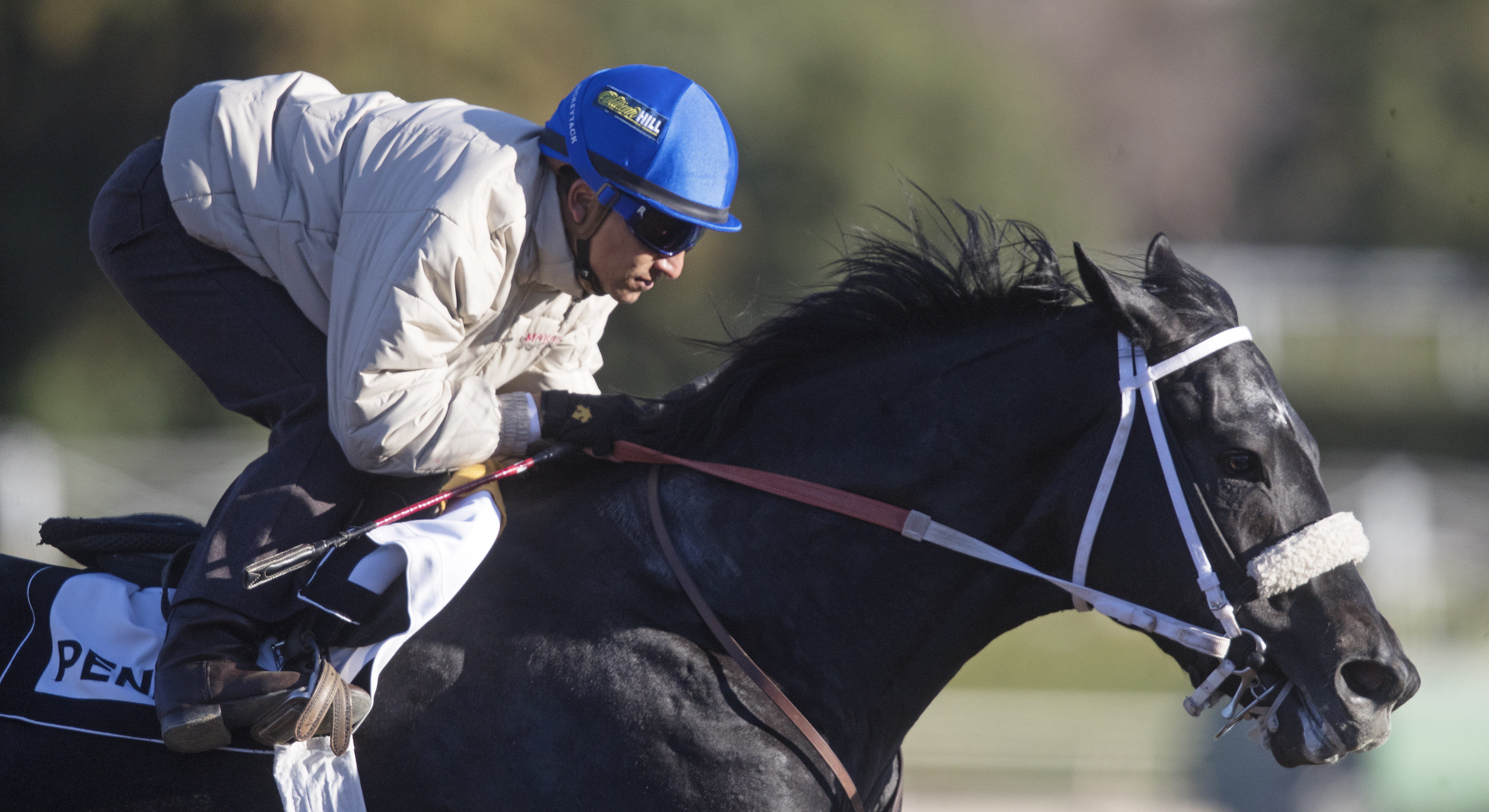 Lombo trains at Santa Anita on Feb. 23