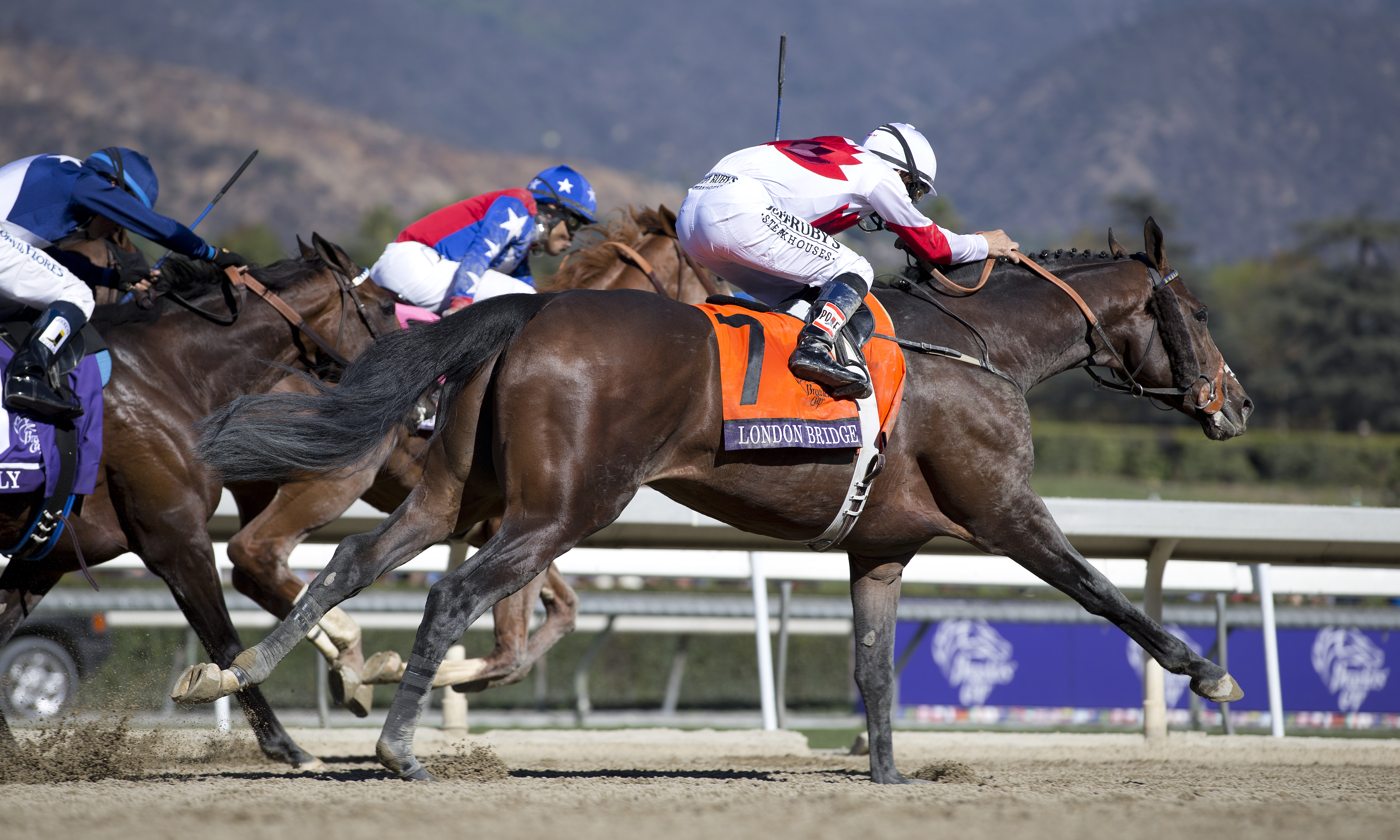 London Bridge wins the Breeders' Cup Marathon