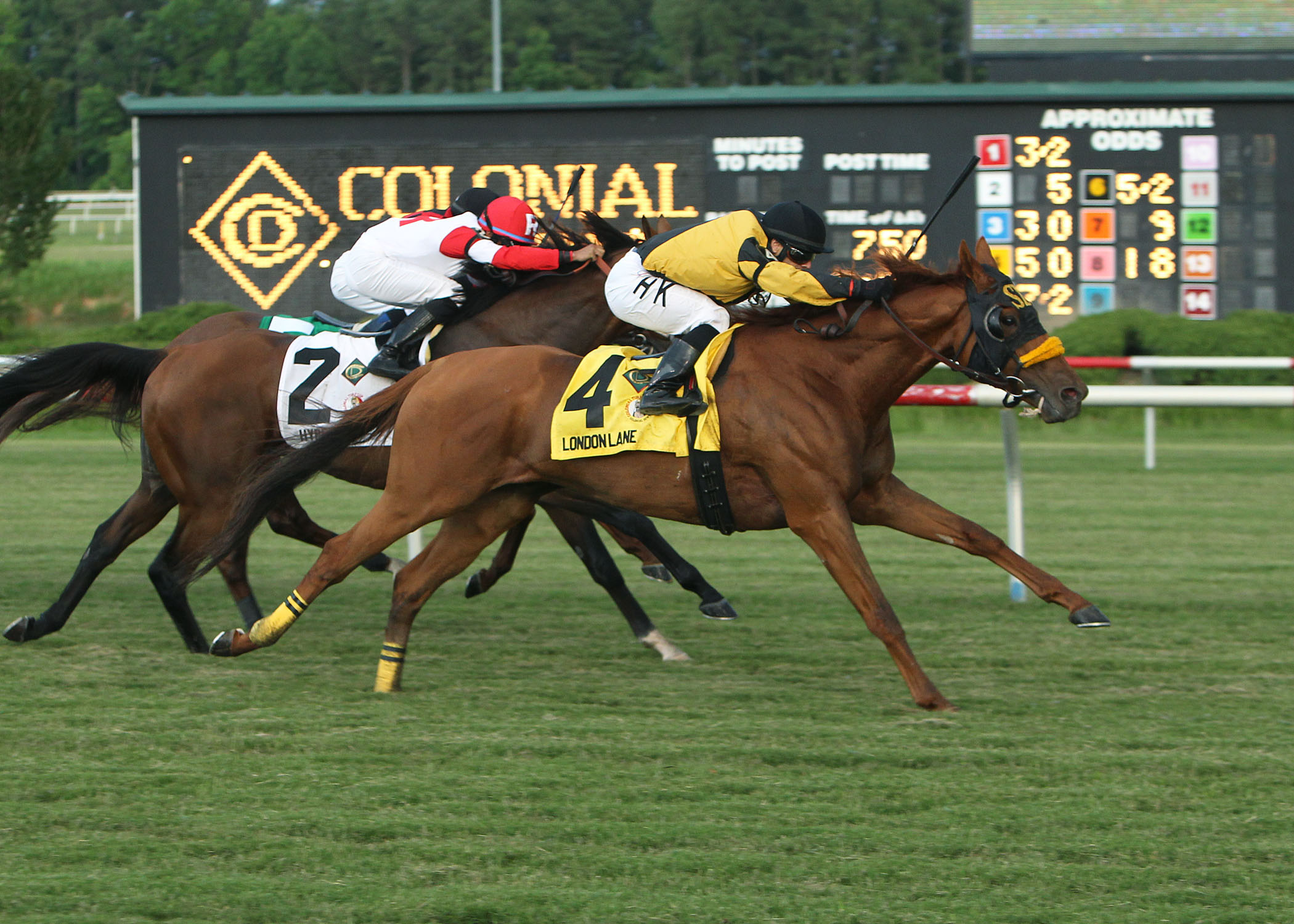 London Lane, Colonial Turf Cup