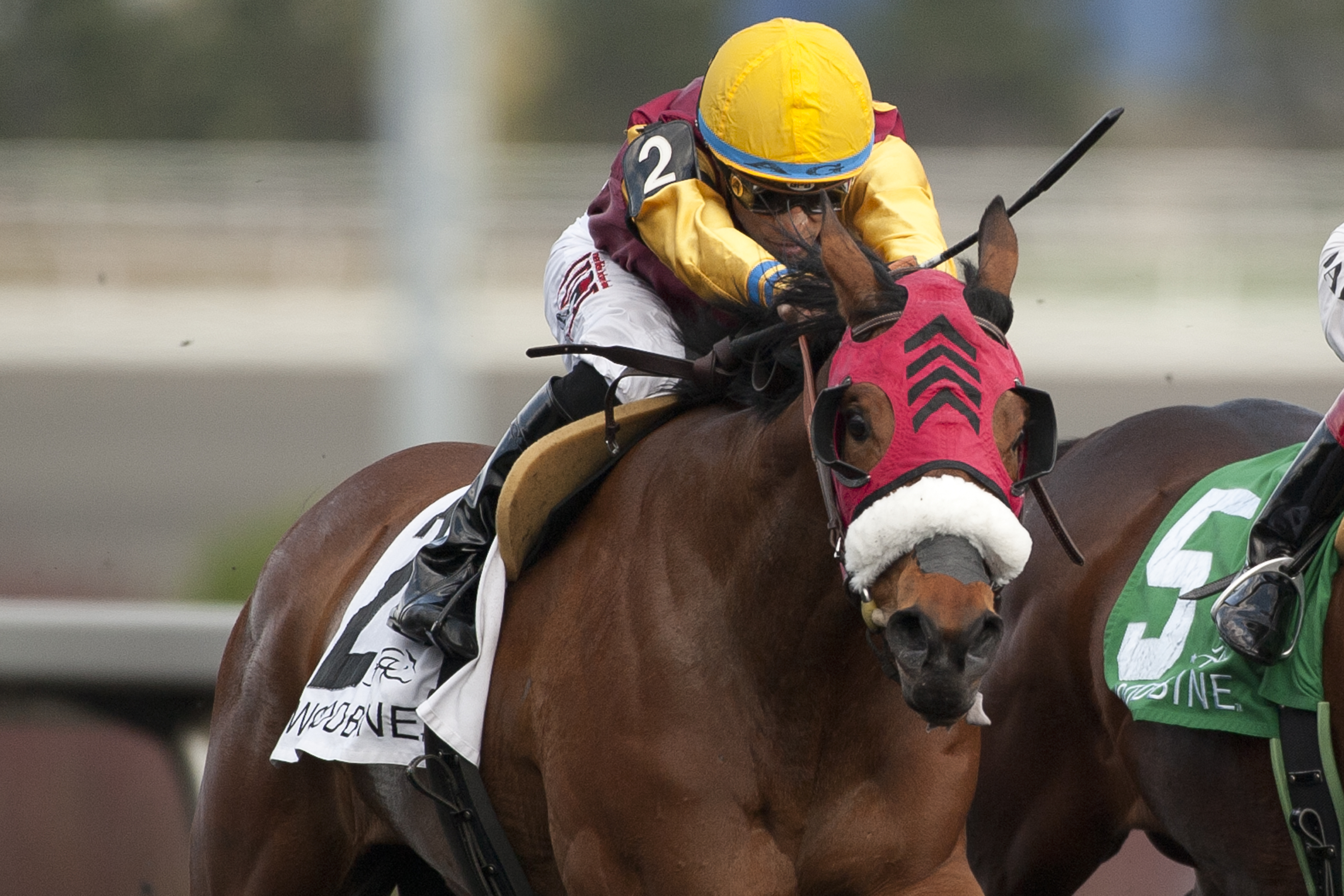 London Tower wins 2015 Fury
