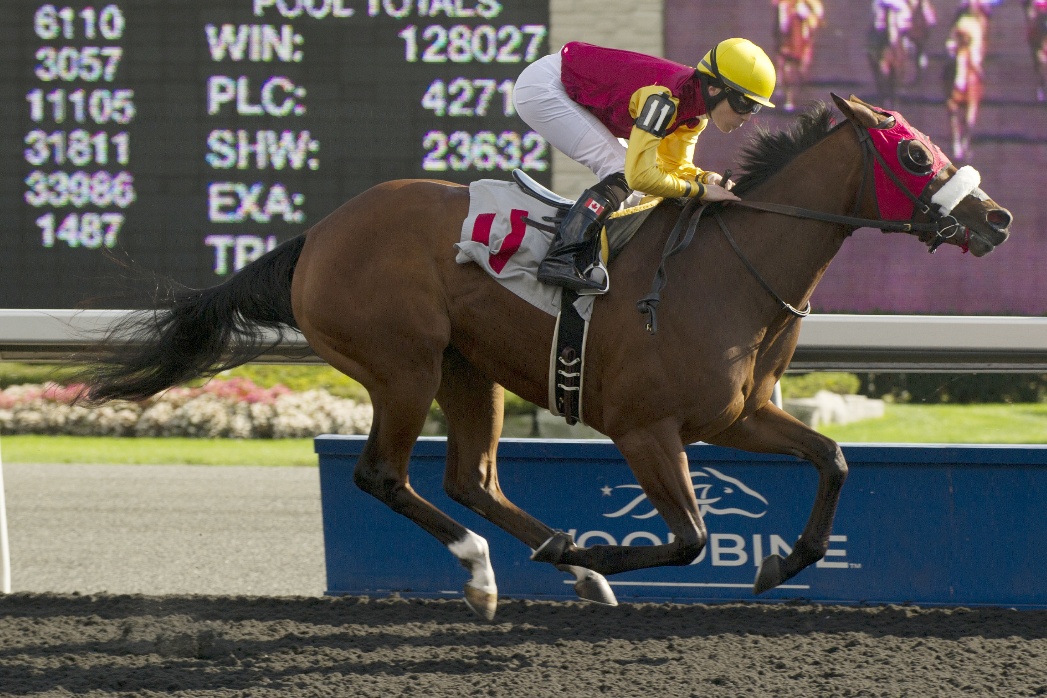 London Tower wins a maiden race