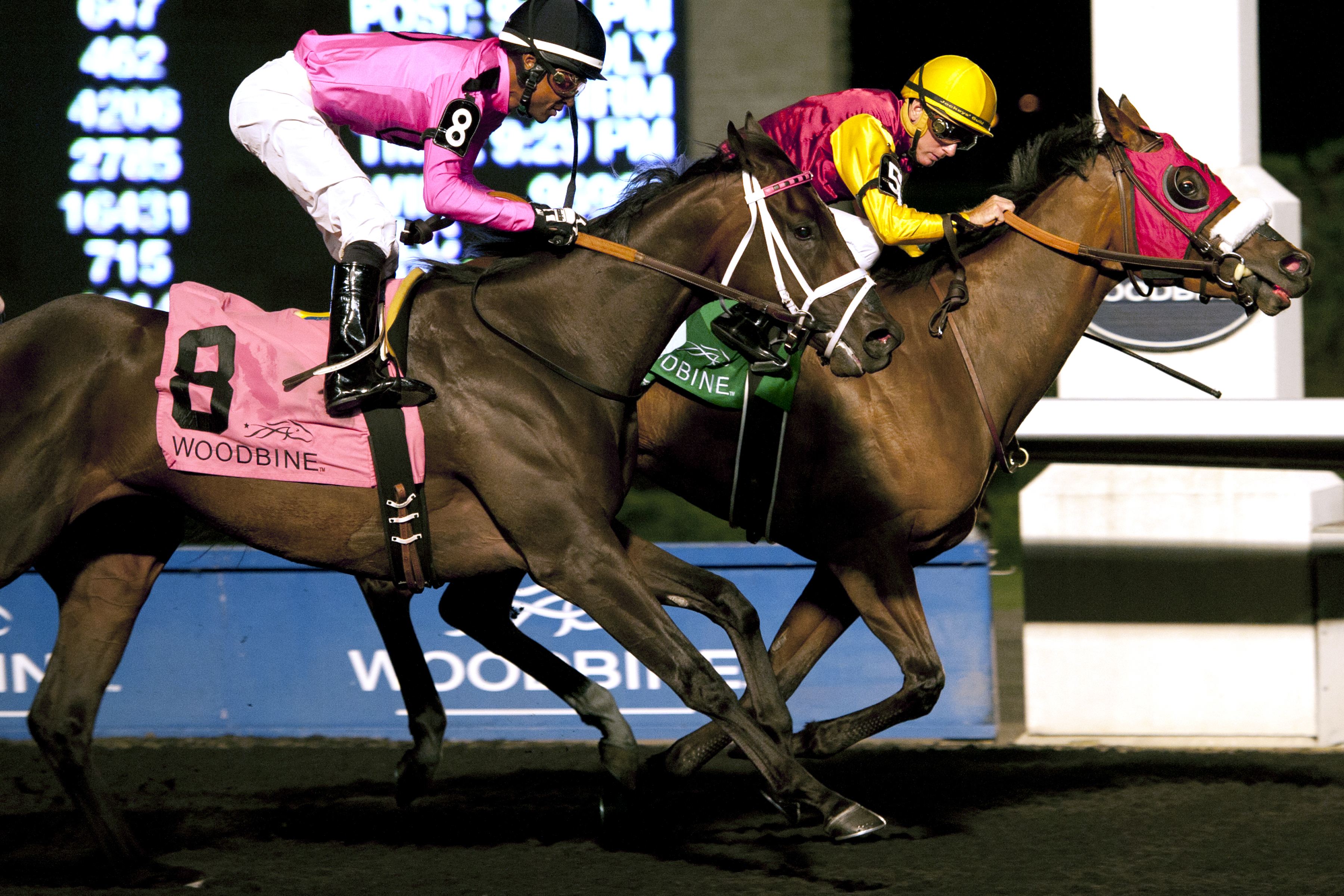 London Tower wins the Eternal Stakes