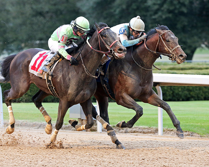 Lone Sailor (right) wins a Jan. 31 allowance race at Oaklawn Park