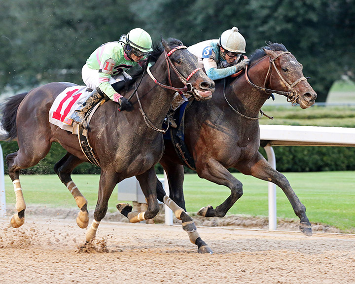 Lone Sailor (right) wins a Jan. 31 allowance race at Oaklawn Park