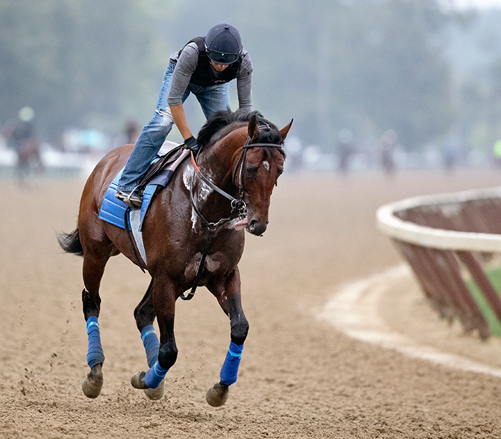 Lone Sailor trains at Saratoga Race Course on Aug. 17