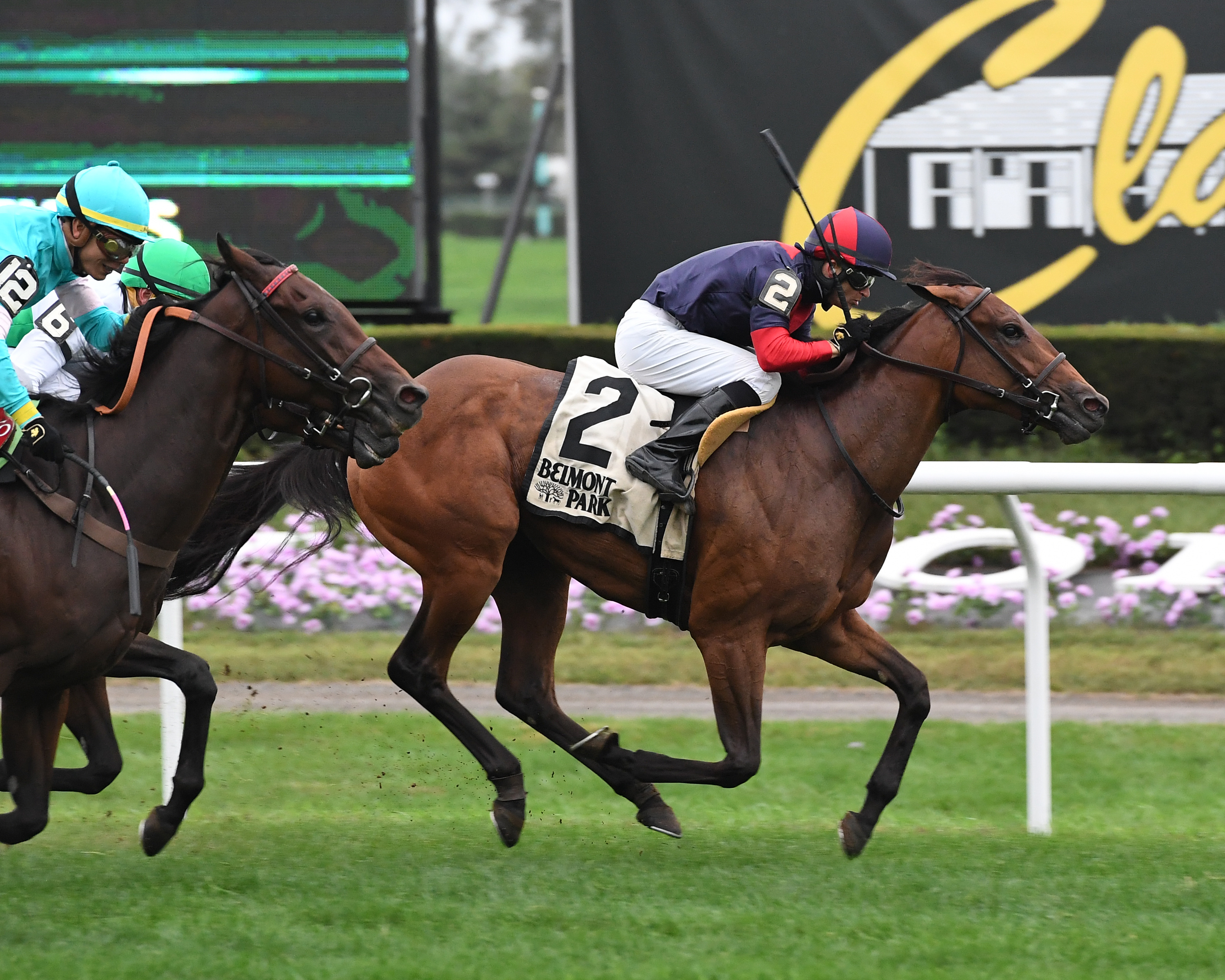 Lonely Road wins the 2018 Matron Stakes