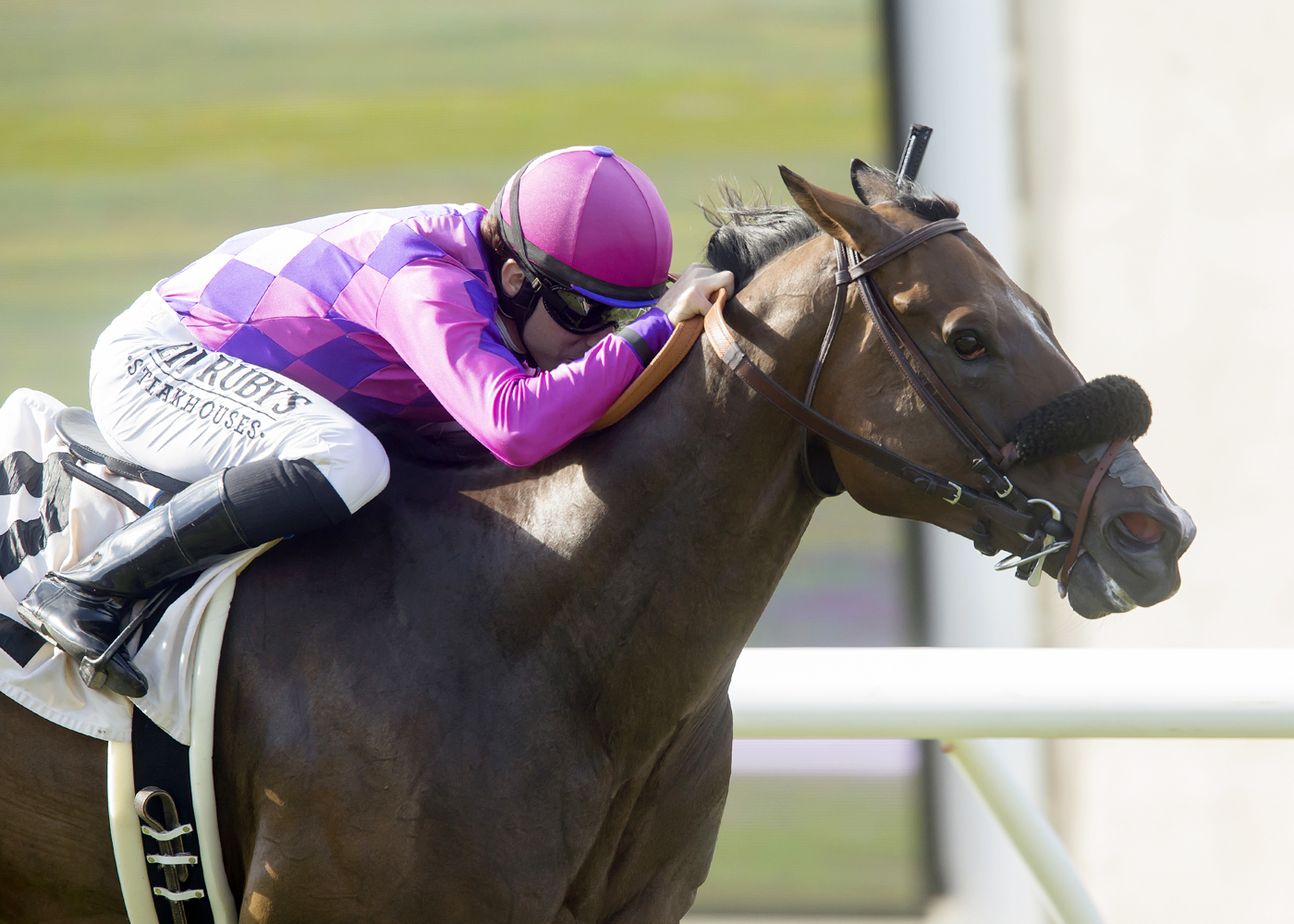 Long Hot Summer wins the 2017 Daisycutter Stakes