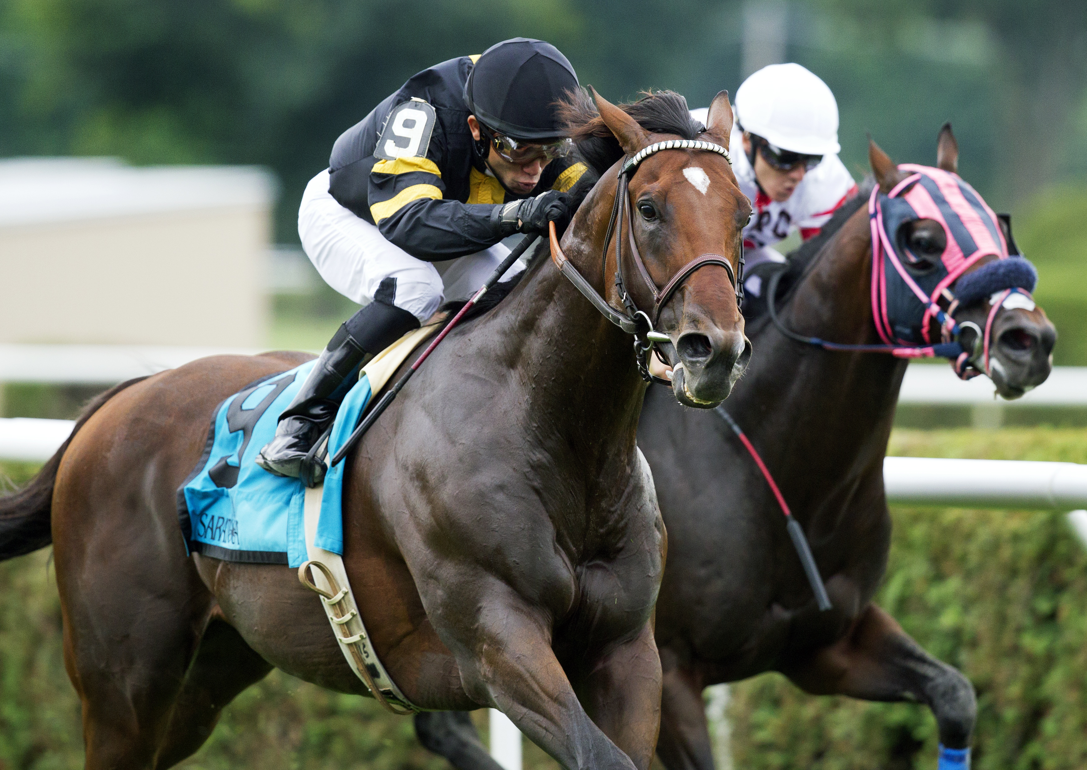 Long on Value wins the Lucky Coin Stakes
