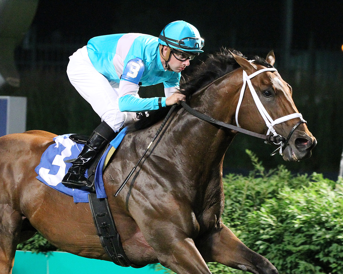 Long On Value wins the 2018 Mighty Beau