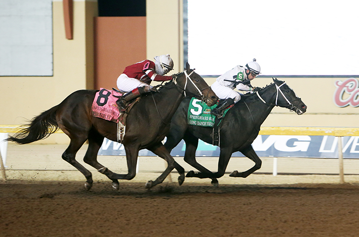 Long Range Toddy wins the Springboard Mile