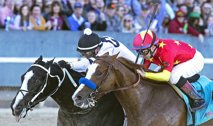 Long Range Toddy wins 2019 Rebel (div 1, Barb)