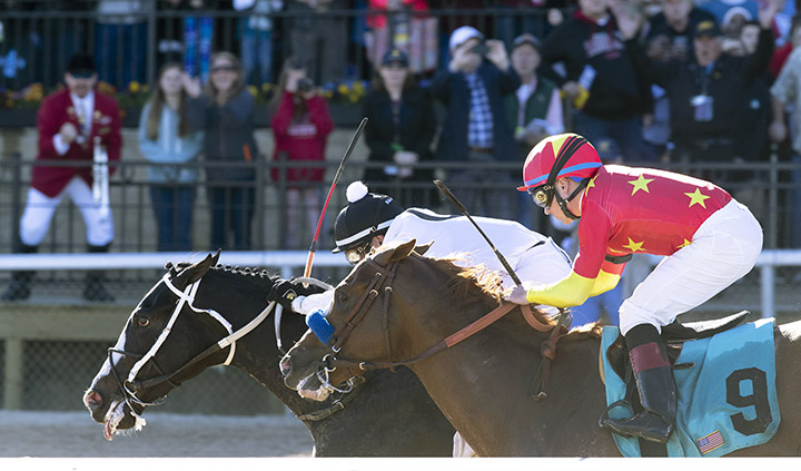 Long Range Toddy wins the 2019 Rebel Stakes - first division