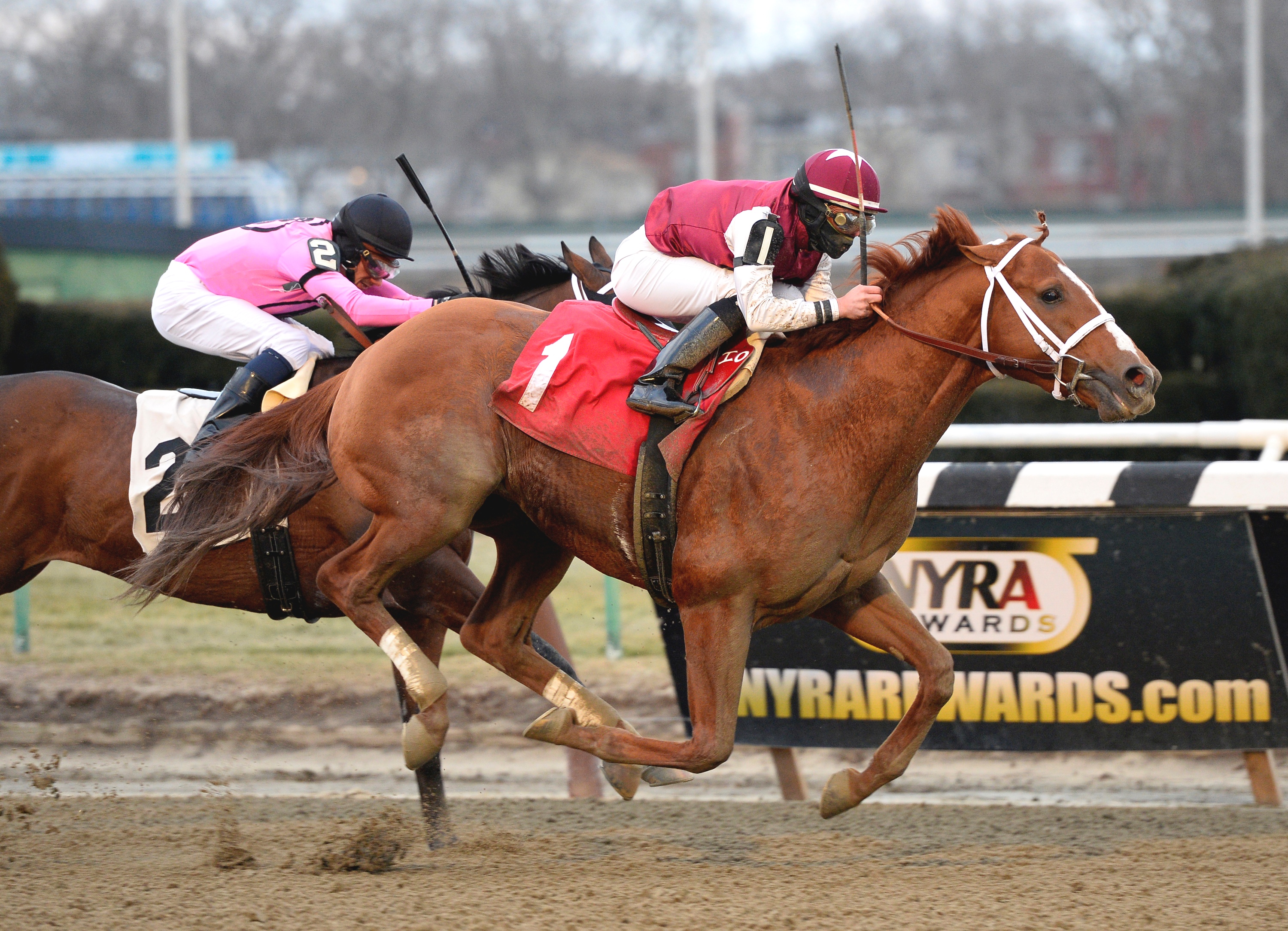 Long River, Evening Attire Stakes