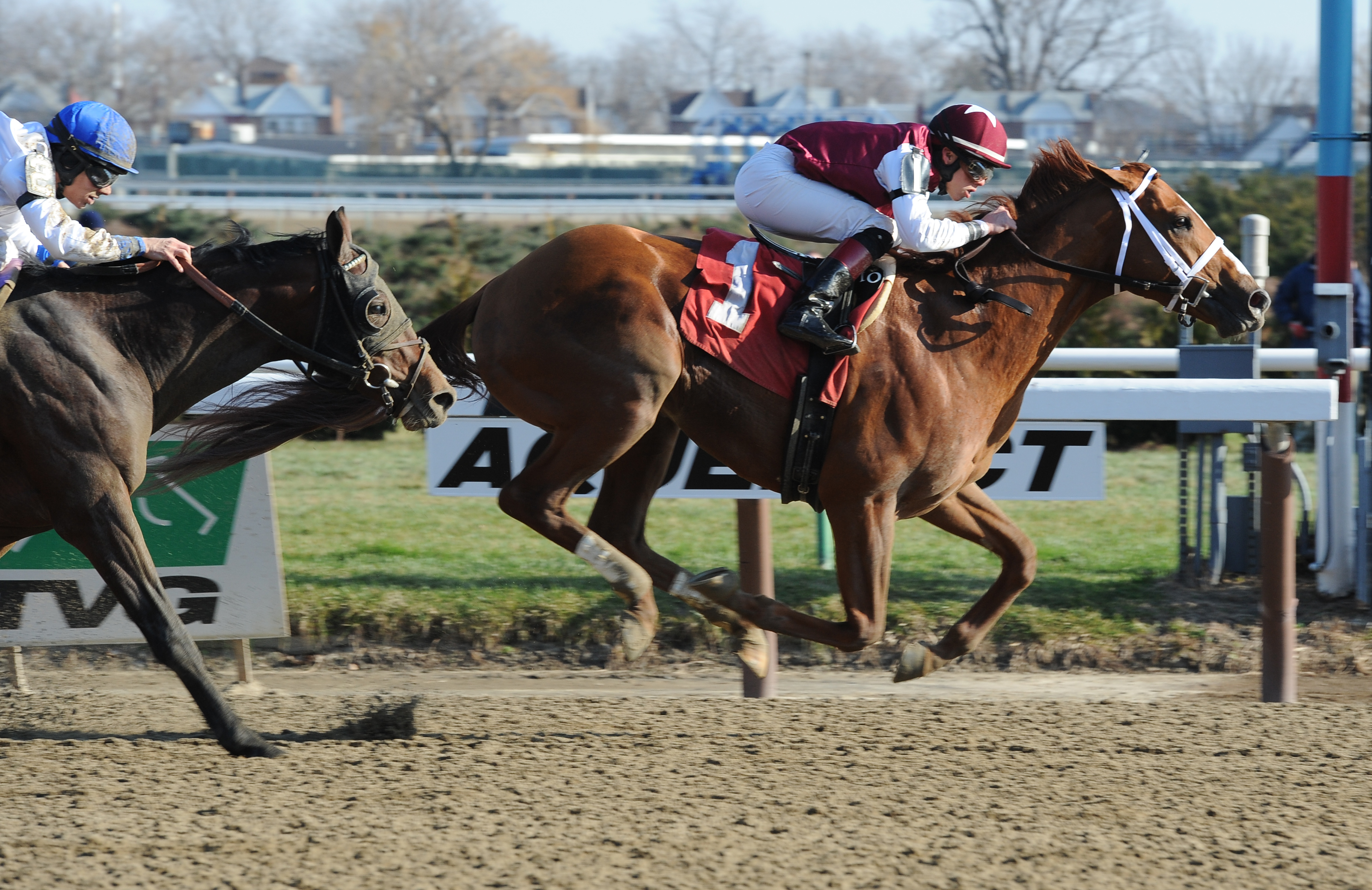 Long River, maiden win