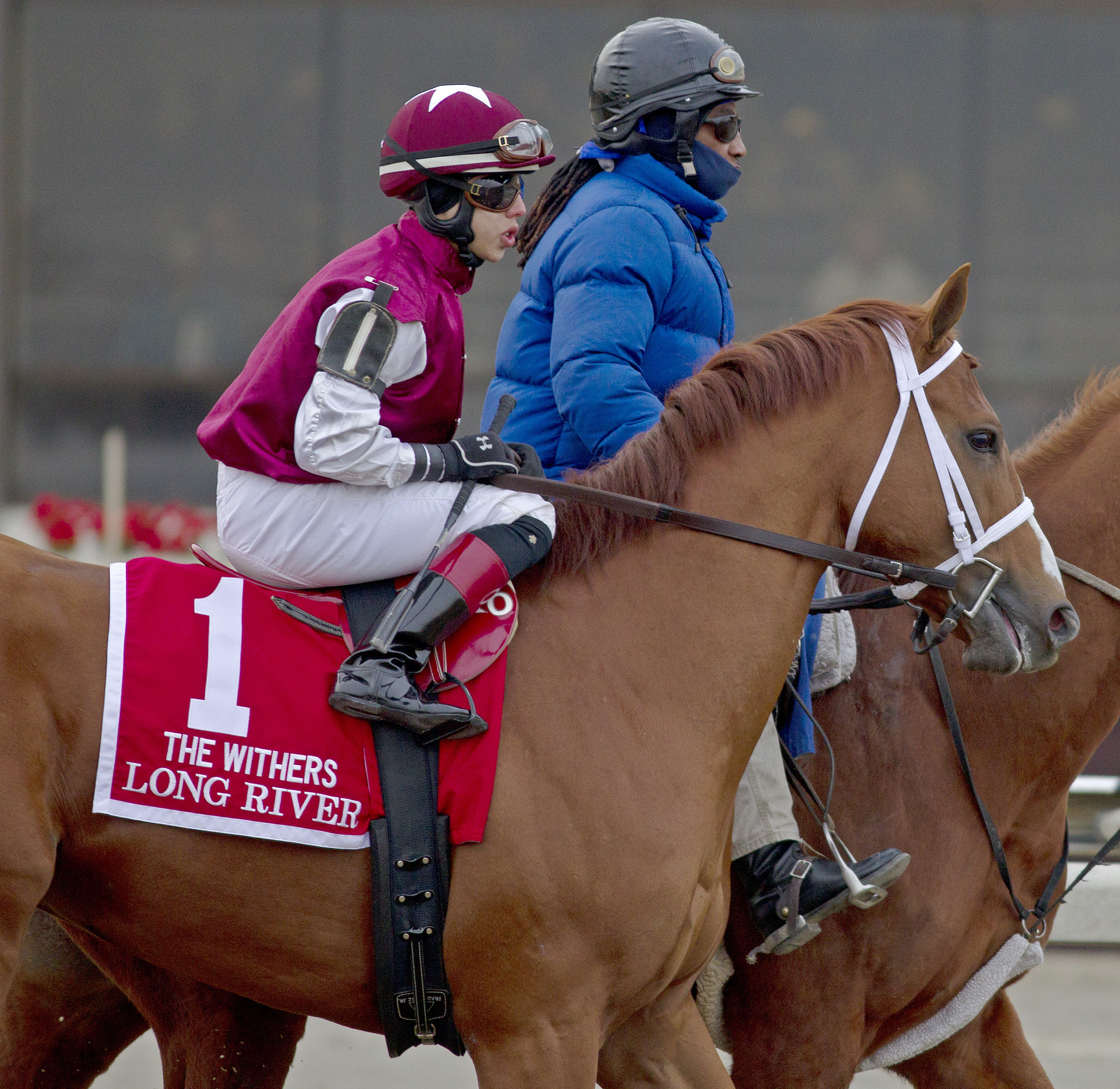 Long River at the 2013 Withers