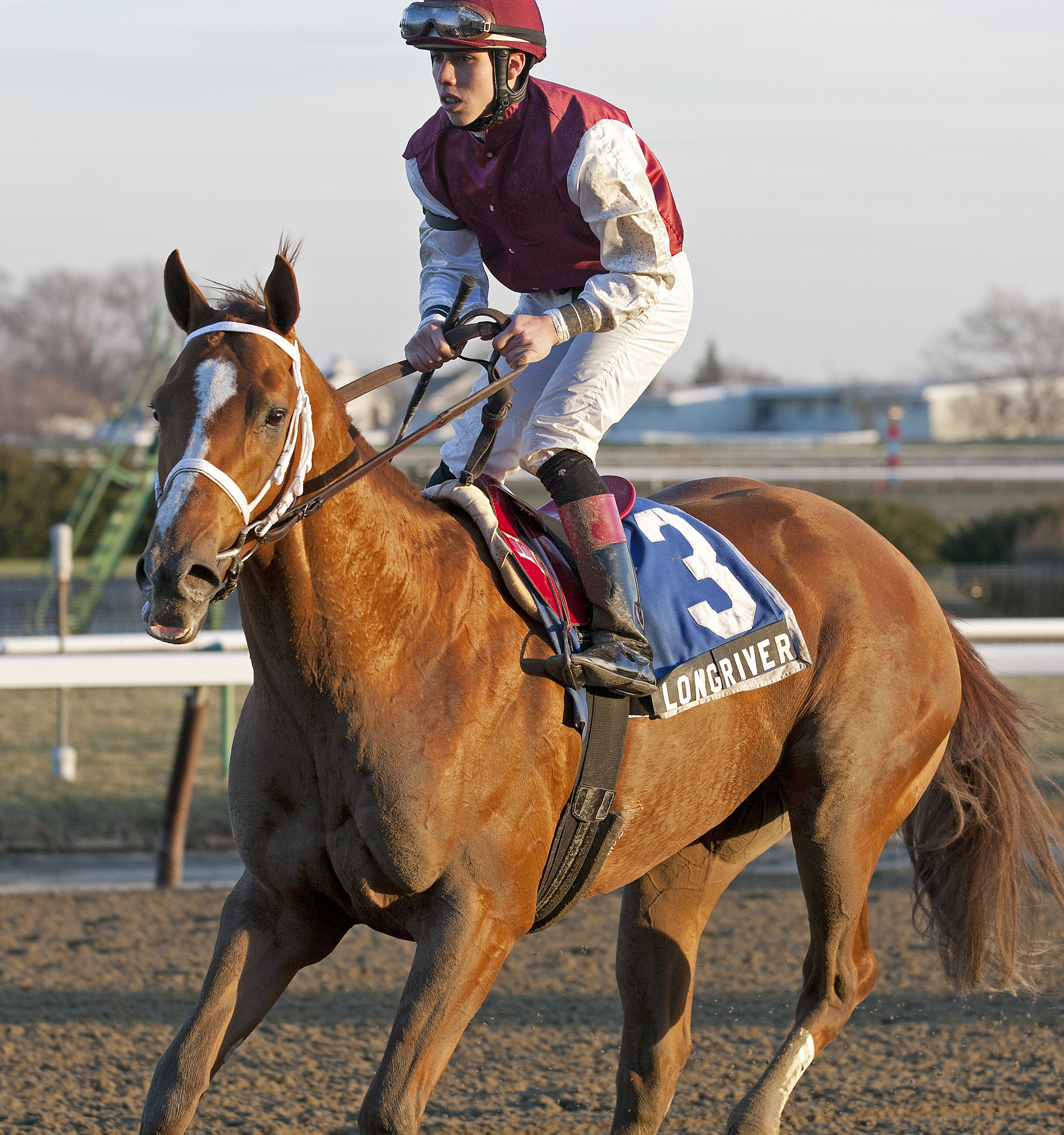 Long River in the Jerome Stakes
