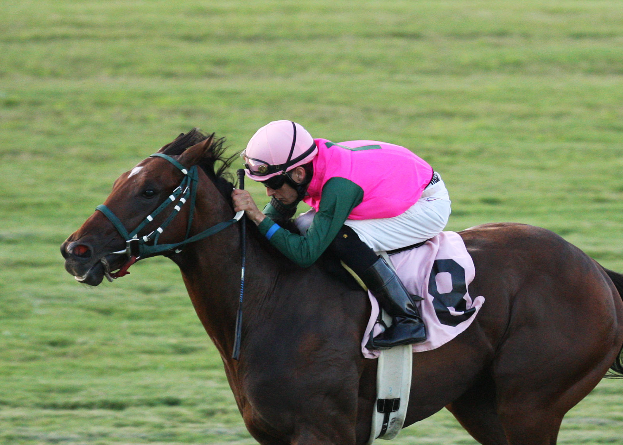 Long on Value wins the Jamestown Stakes