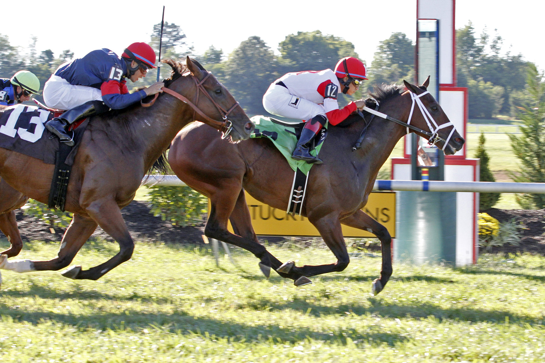 Longhunter wins the 2013 Kentucky Downs Turf Dash Stakes
