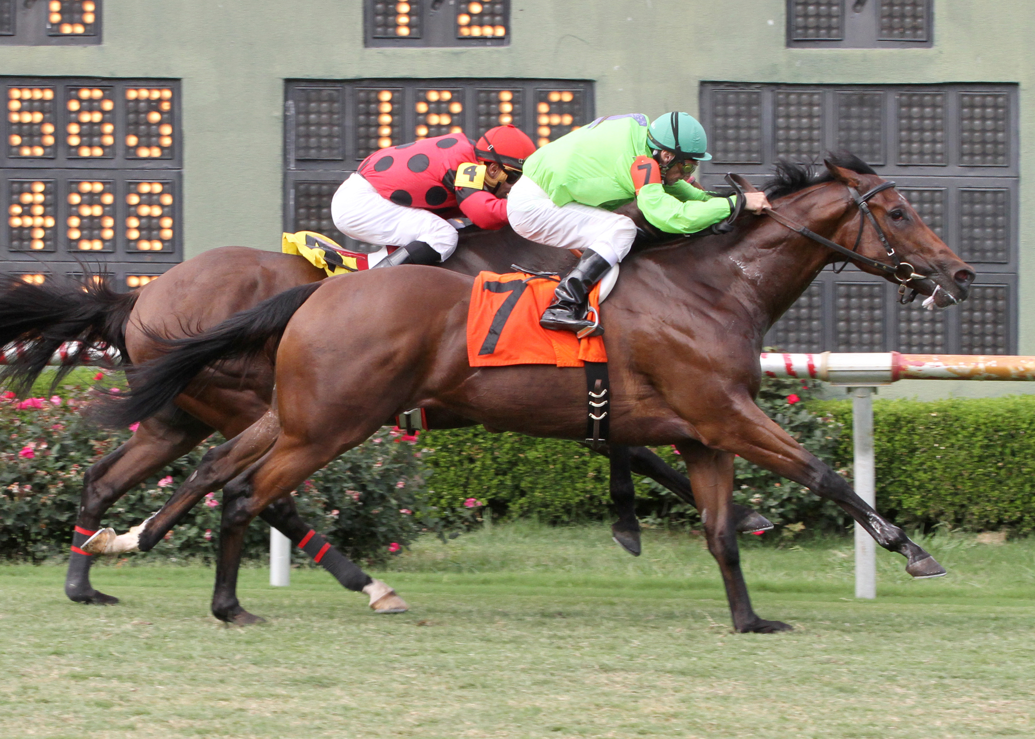Look At the Time, String King, John Francis Memorial Stakes