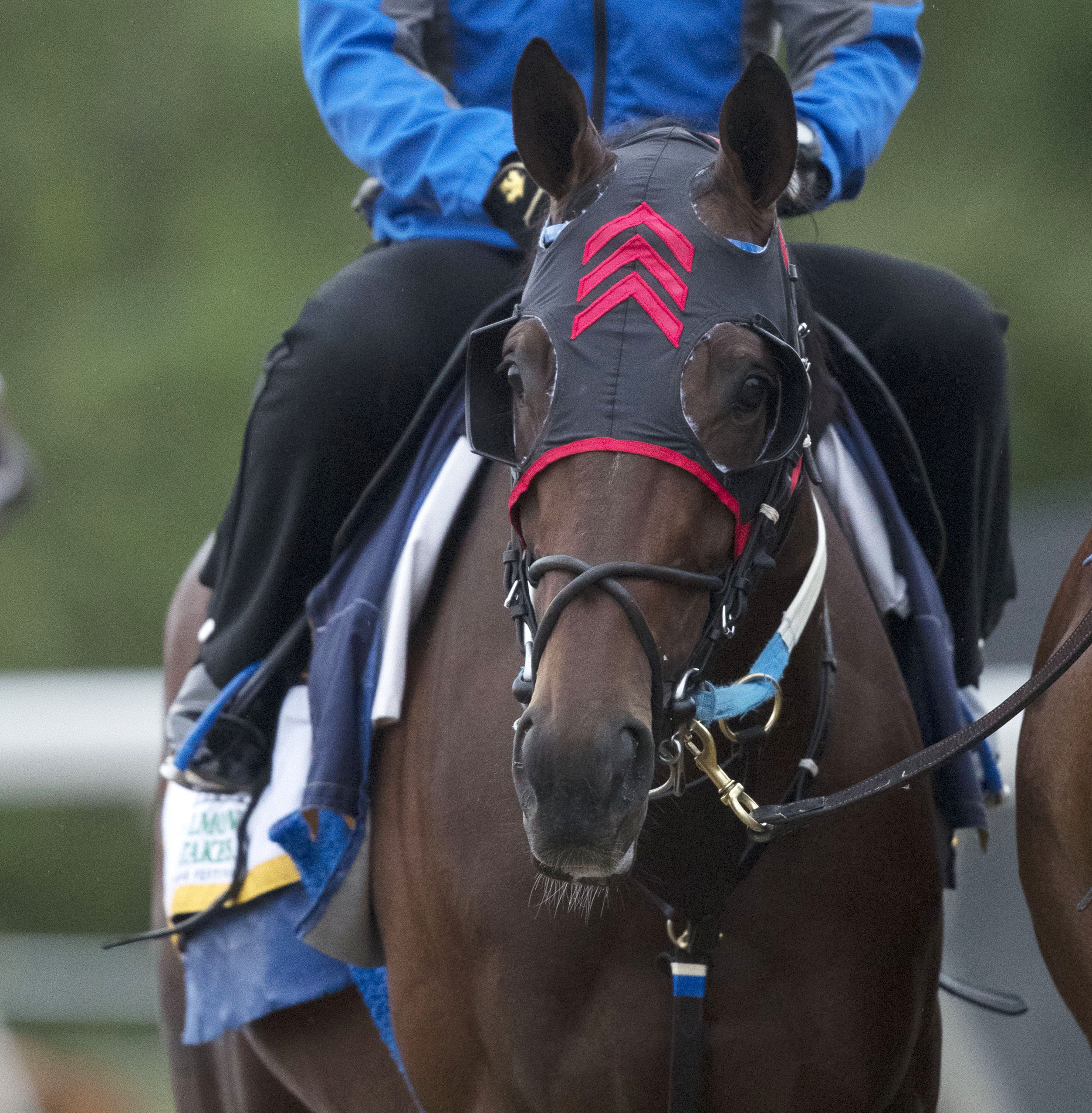 Lookin At Lee at Belmont on June 6