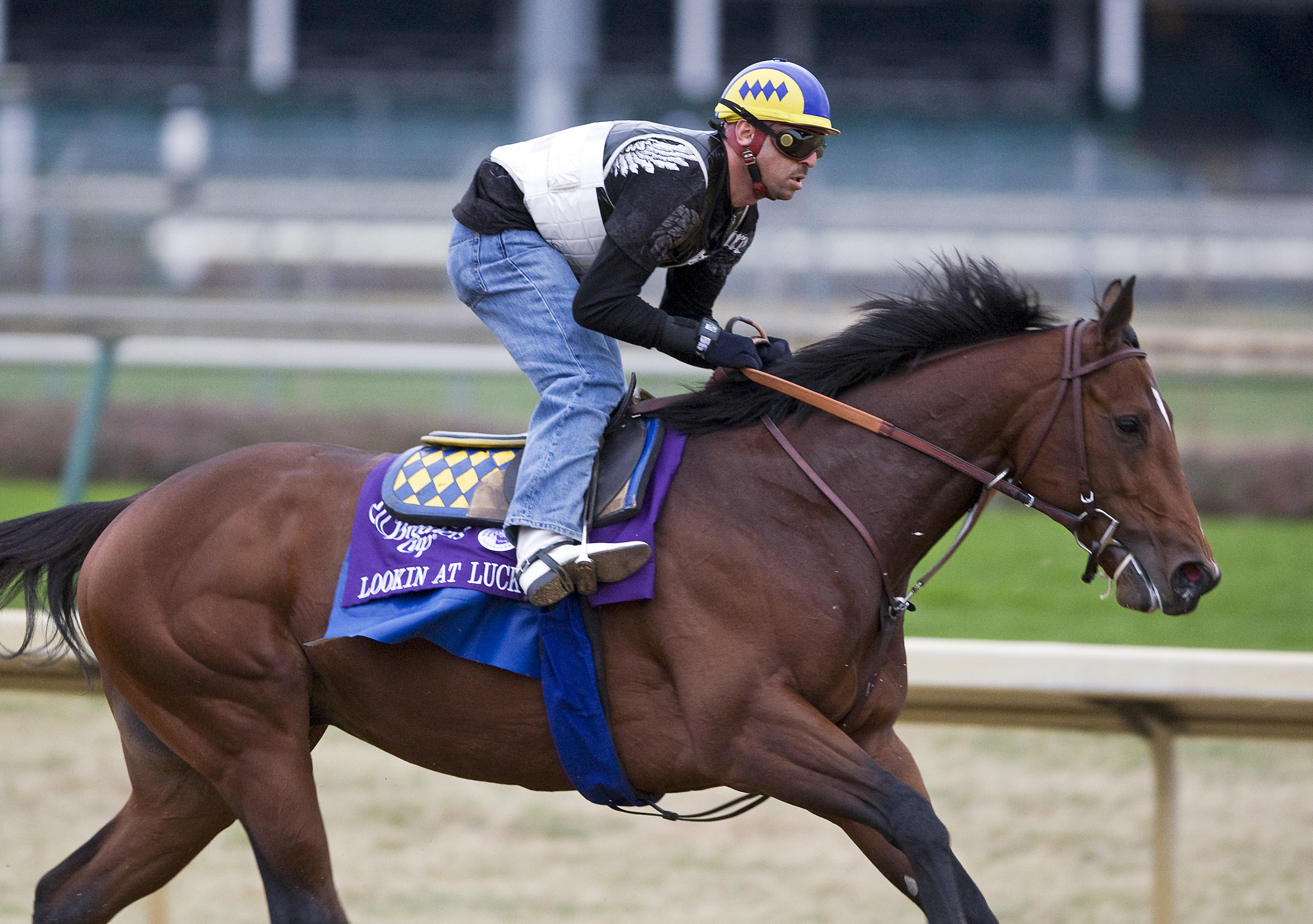 Lookin At Lucky trains for Breeders' Cup - Nov. 3, 2010