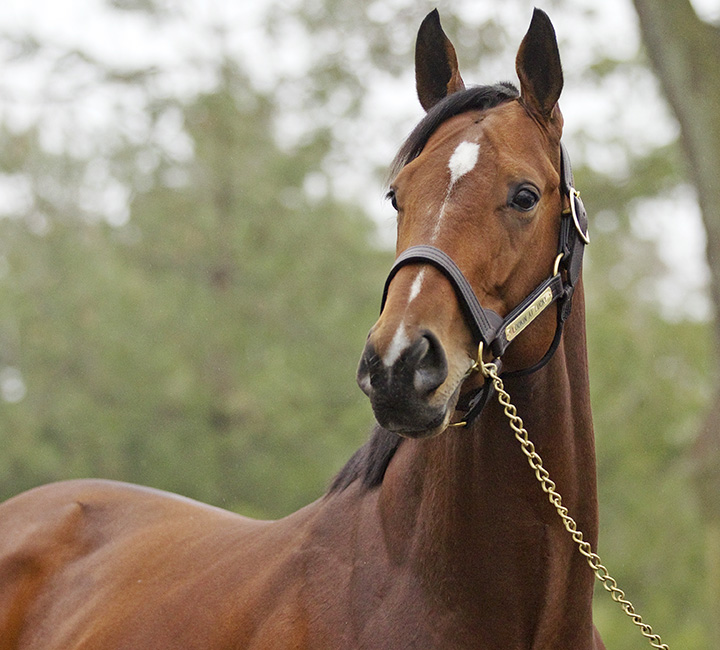 Lookin At Lucky in 2010