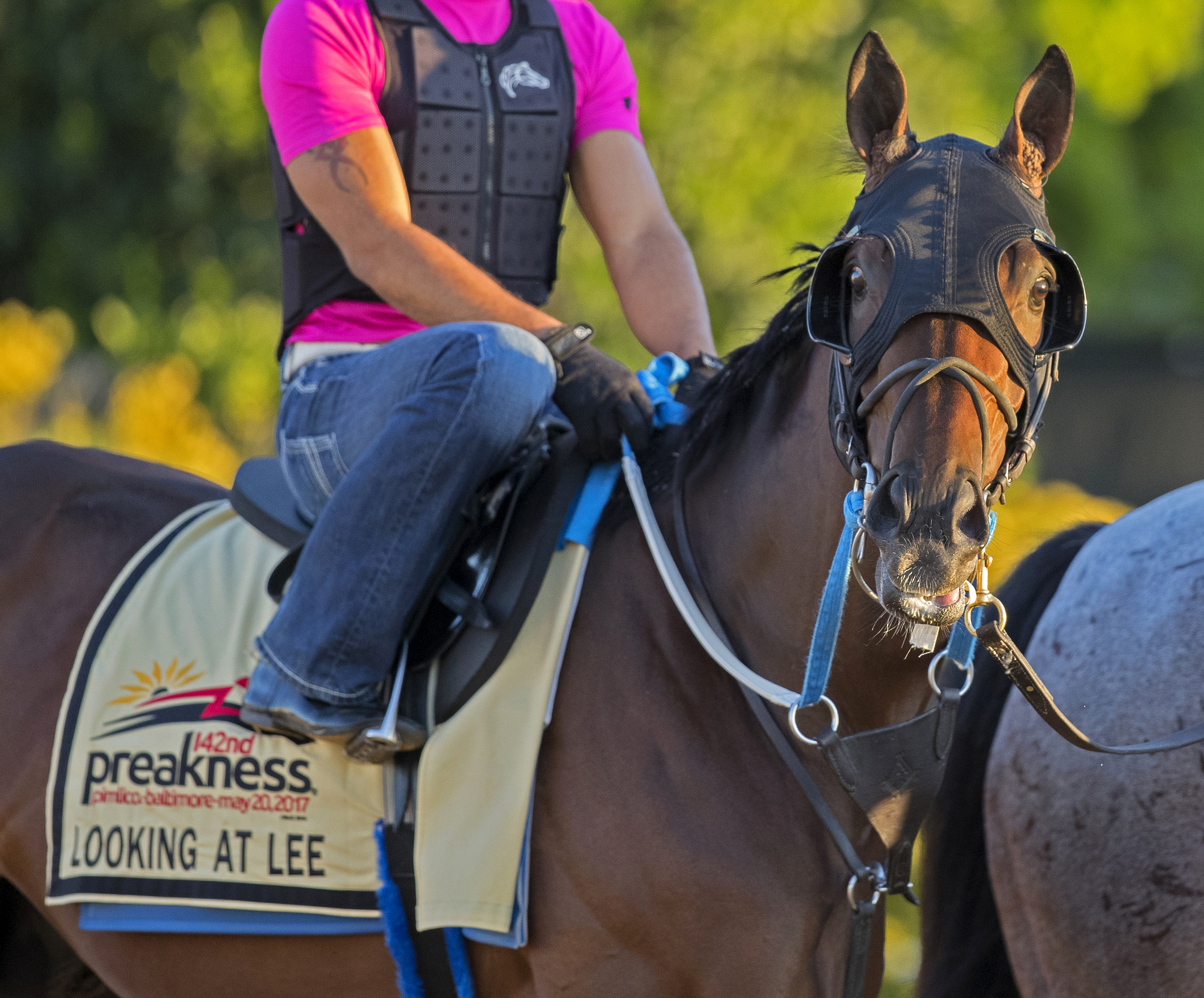 Lookin At Lee at Pimlico on May 17