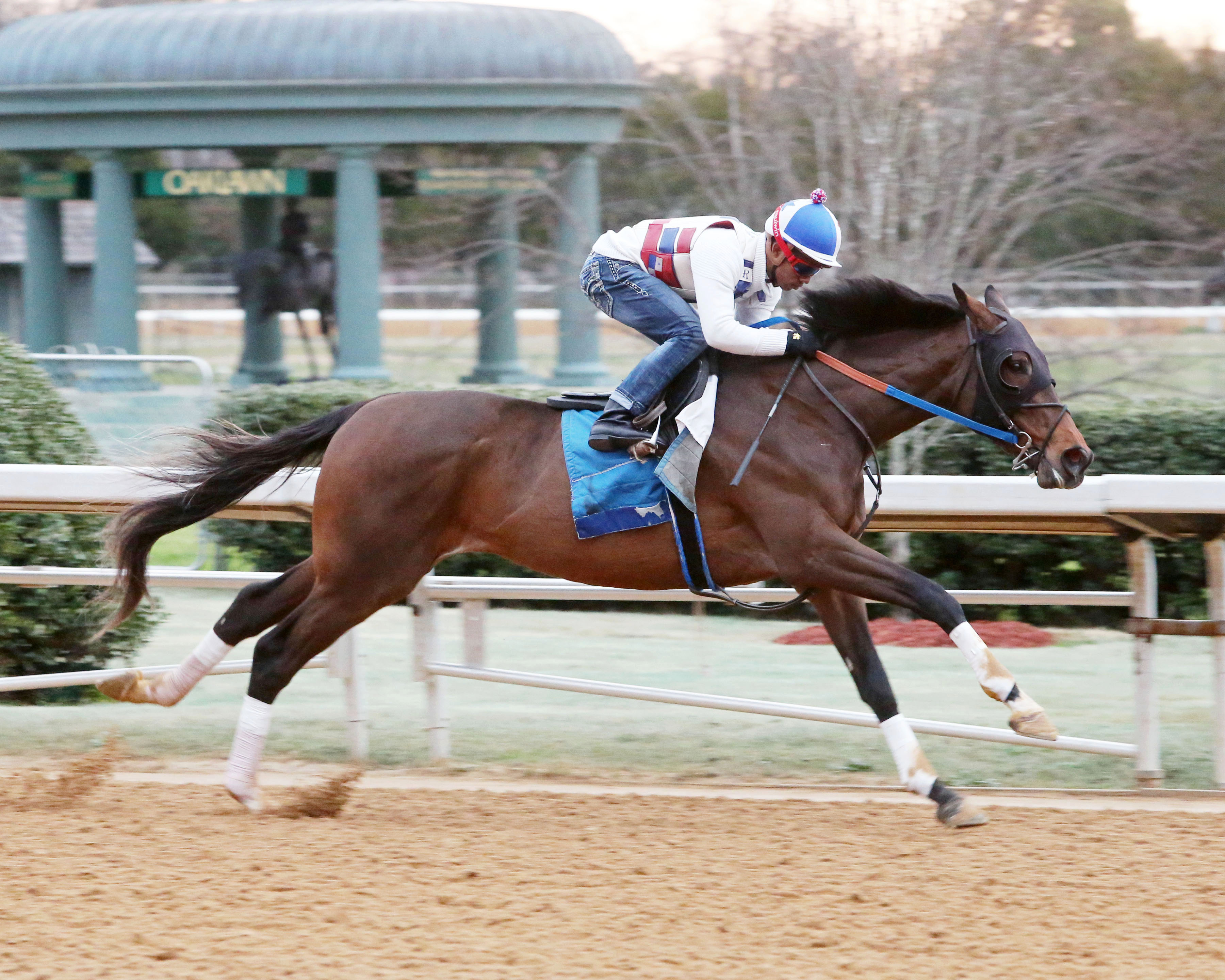 Lookin at Lee works at Oaklawn on Feb. 13