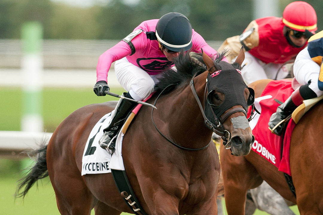 Lookin to Strike wins the 2018 Ontario Derby at Woodbine