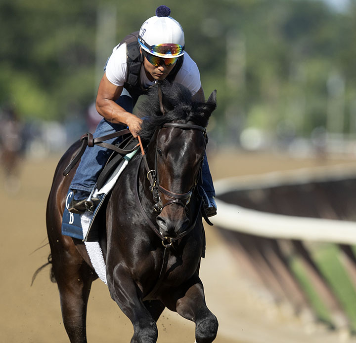 Looking At Bikinis at Saratoga Race Course on July 24