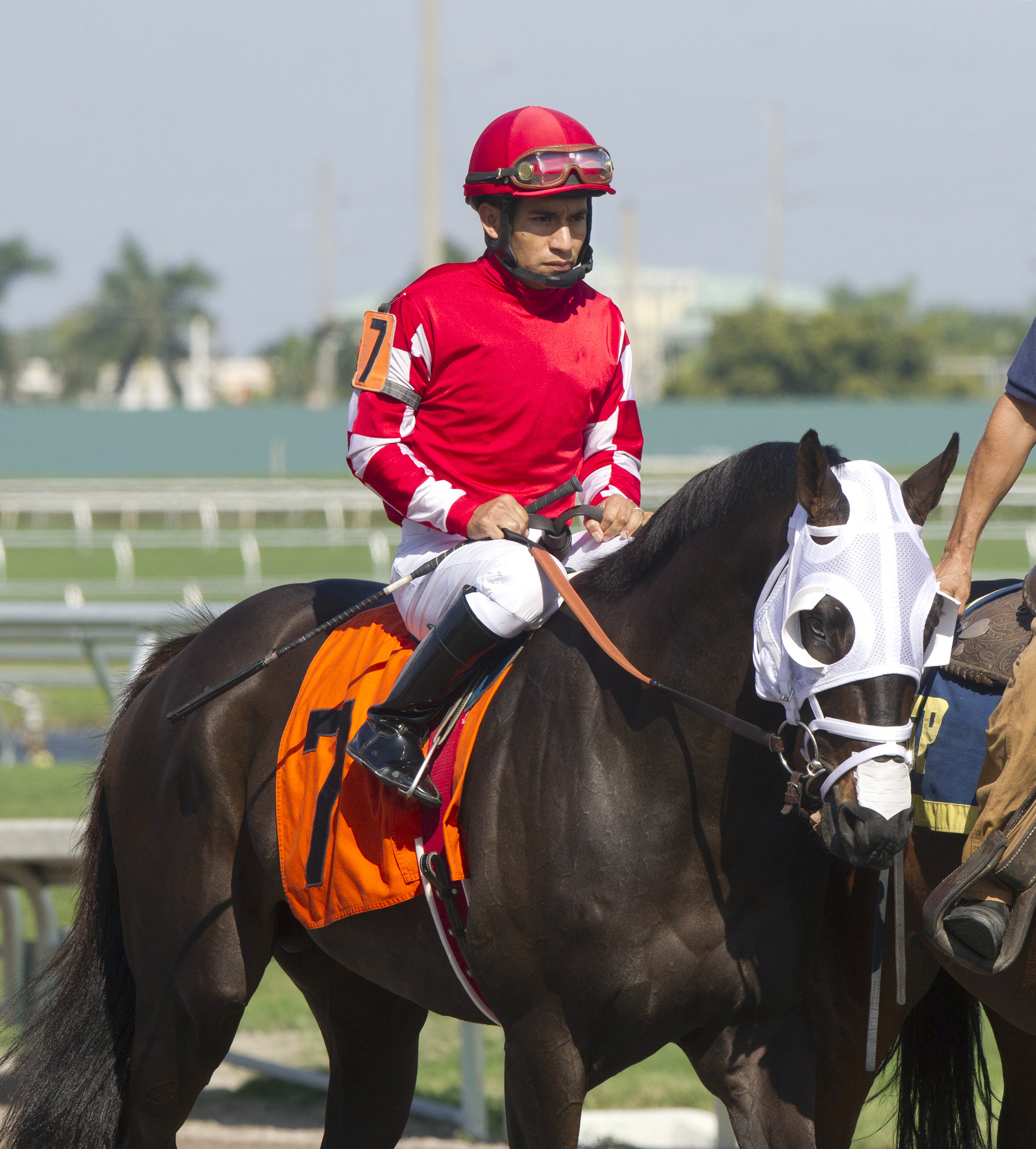 Looking Cool at a 2015 Gulfstream allowance race