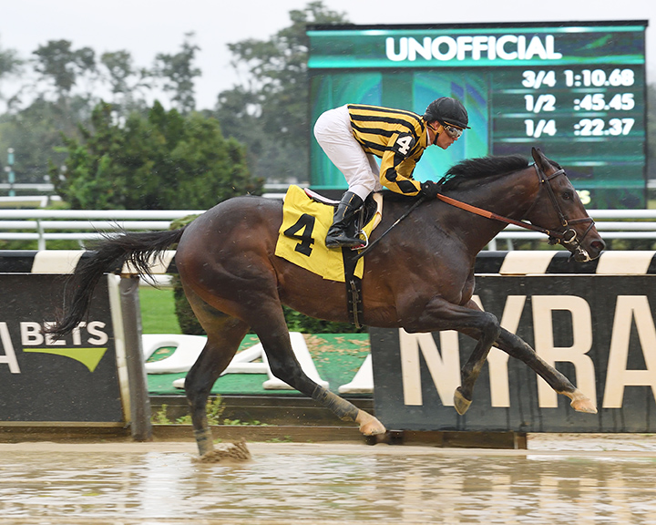 Looking at Bikinis wins a Sept. 9 maiden race