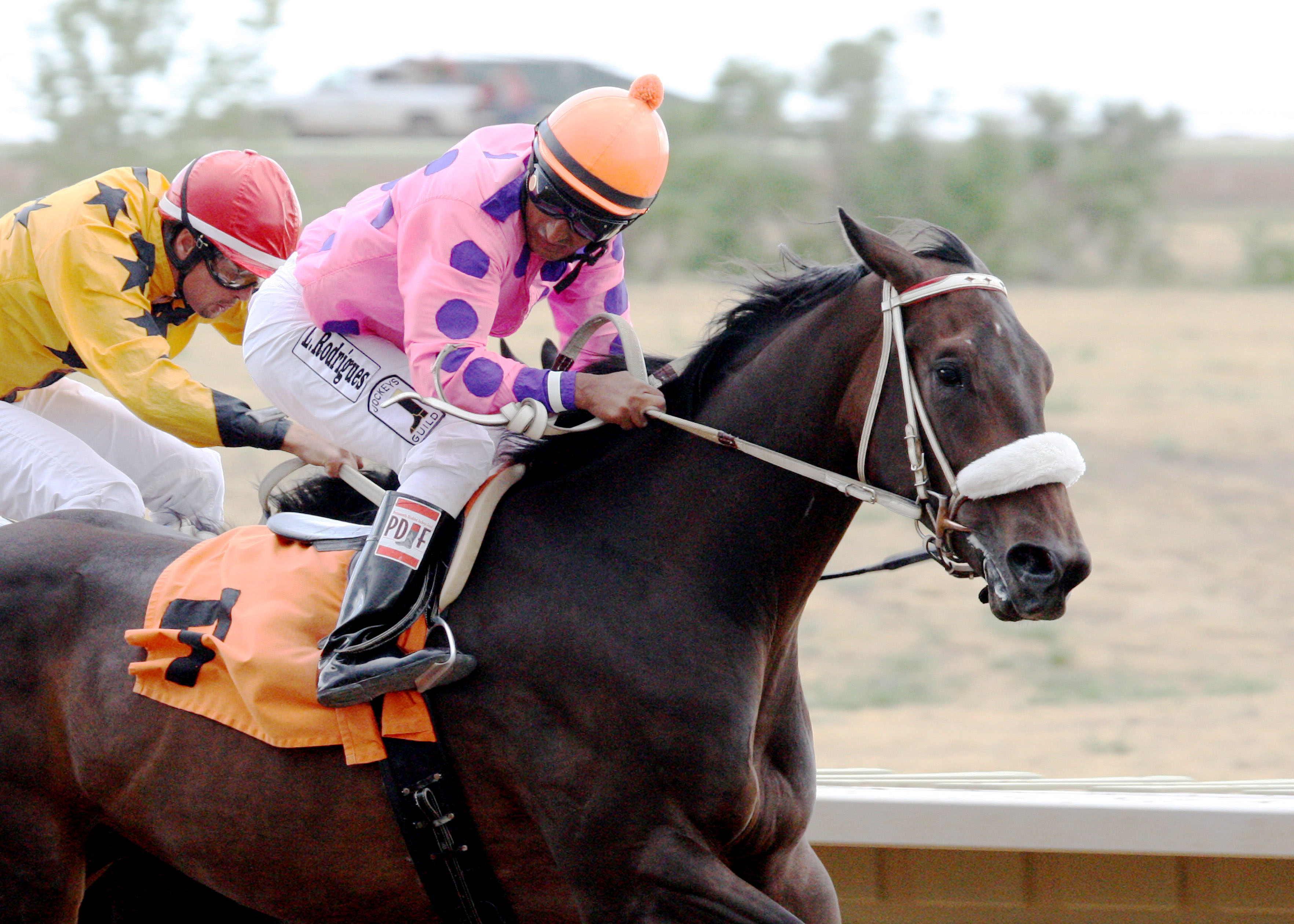 Lookingoodinatux wins the Silver Cup Futurity