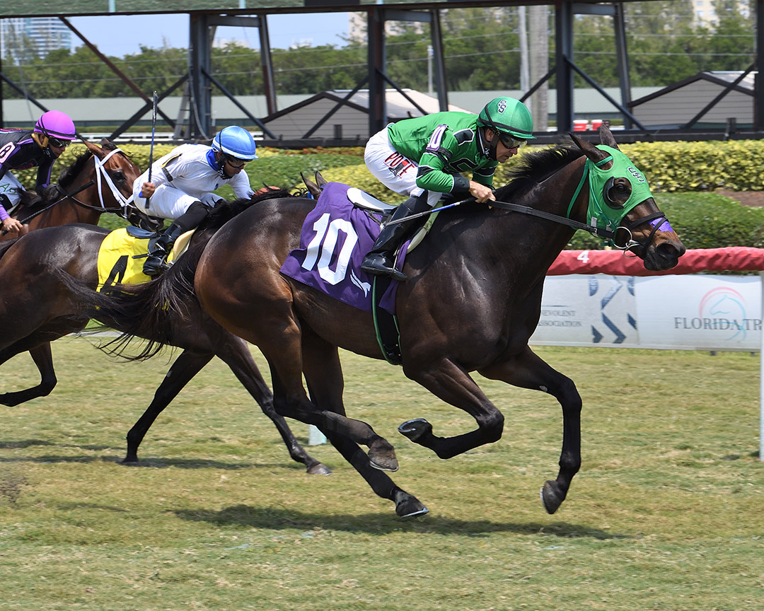 Lookinlikeaqueen wins an April 16 optional claiming race at Gulfstream