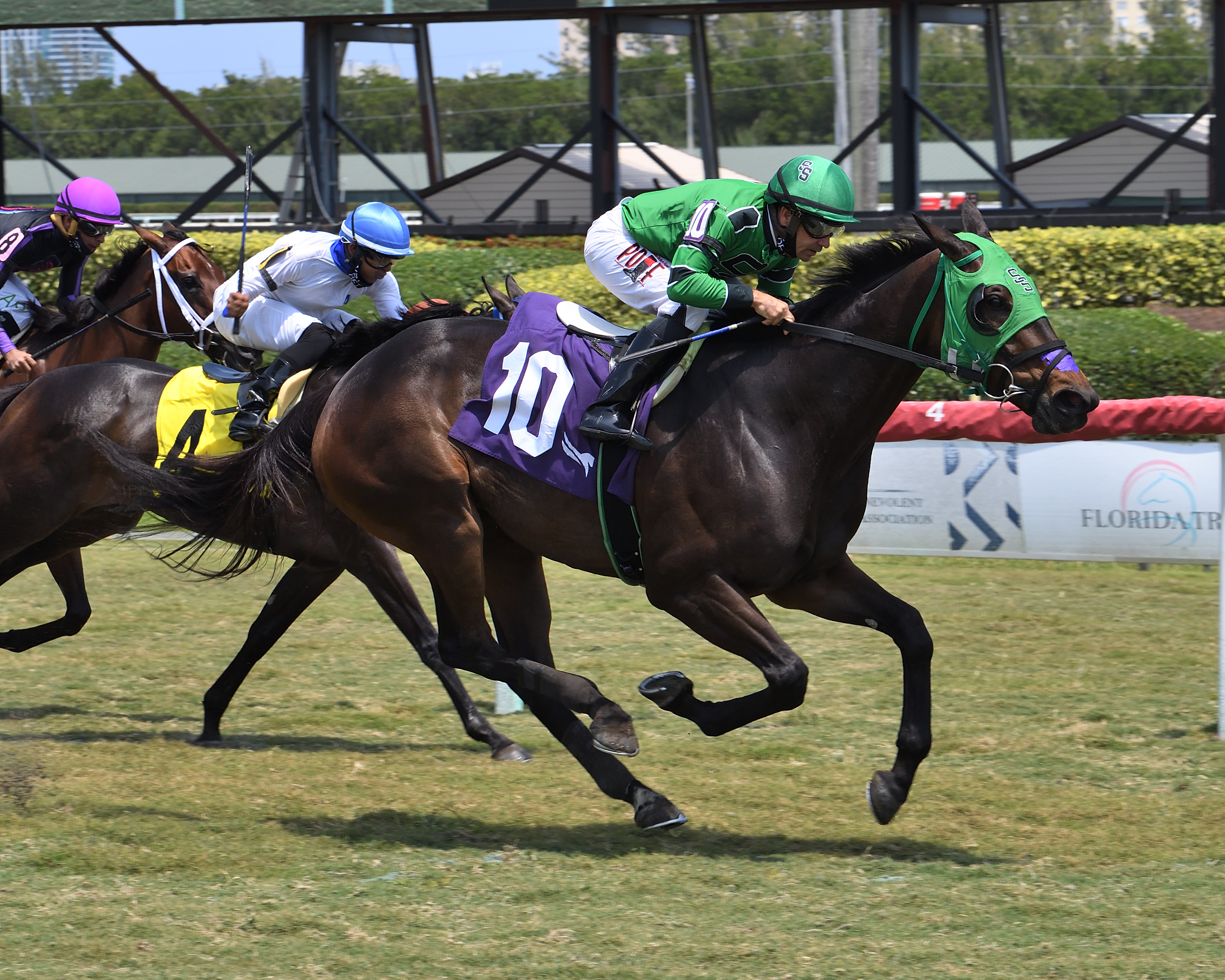 Lookinlikeaqueen wins an April 16 optional claiming race at Gulfstream Park
